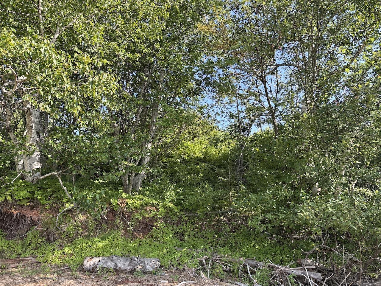 $164,000.00: 9372 Highway 6 Highway, Pugwash