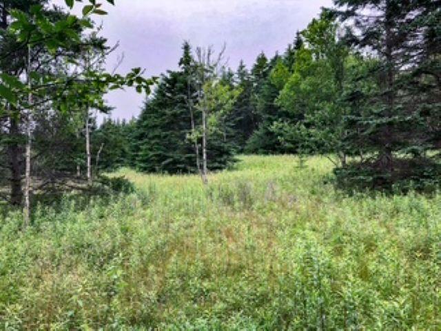 $89,000.00: Lot 290 East Side Grand River Road, Grand River