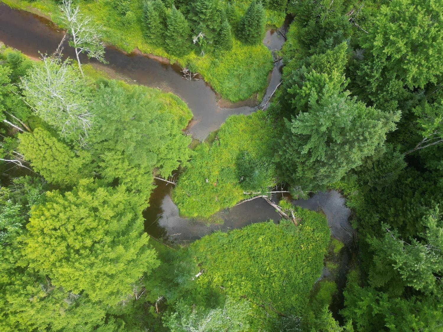 $60,000.00: Lot 6 Lake Road, Wentworth