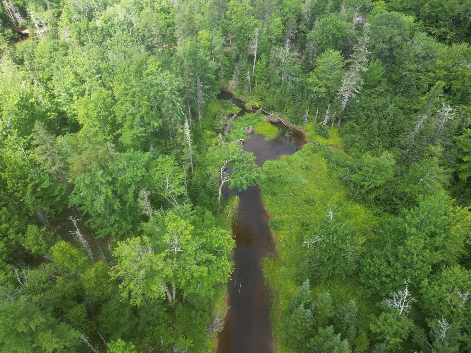 $60,000.00: Lot 6 Lake Road, Wentworth