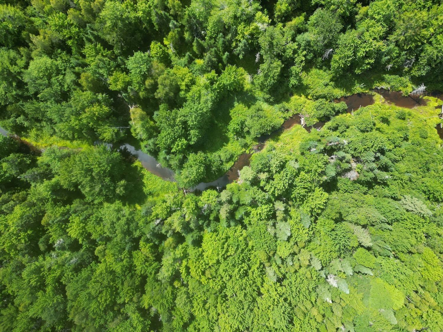 $60,000.00: Lot 6 Lake Road, Wentworth