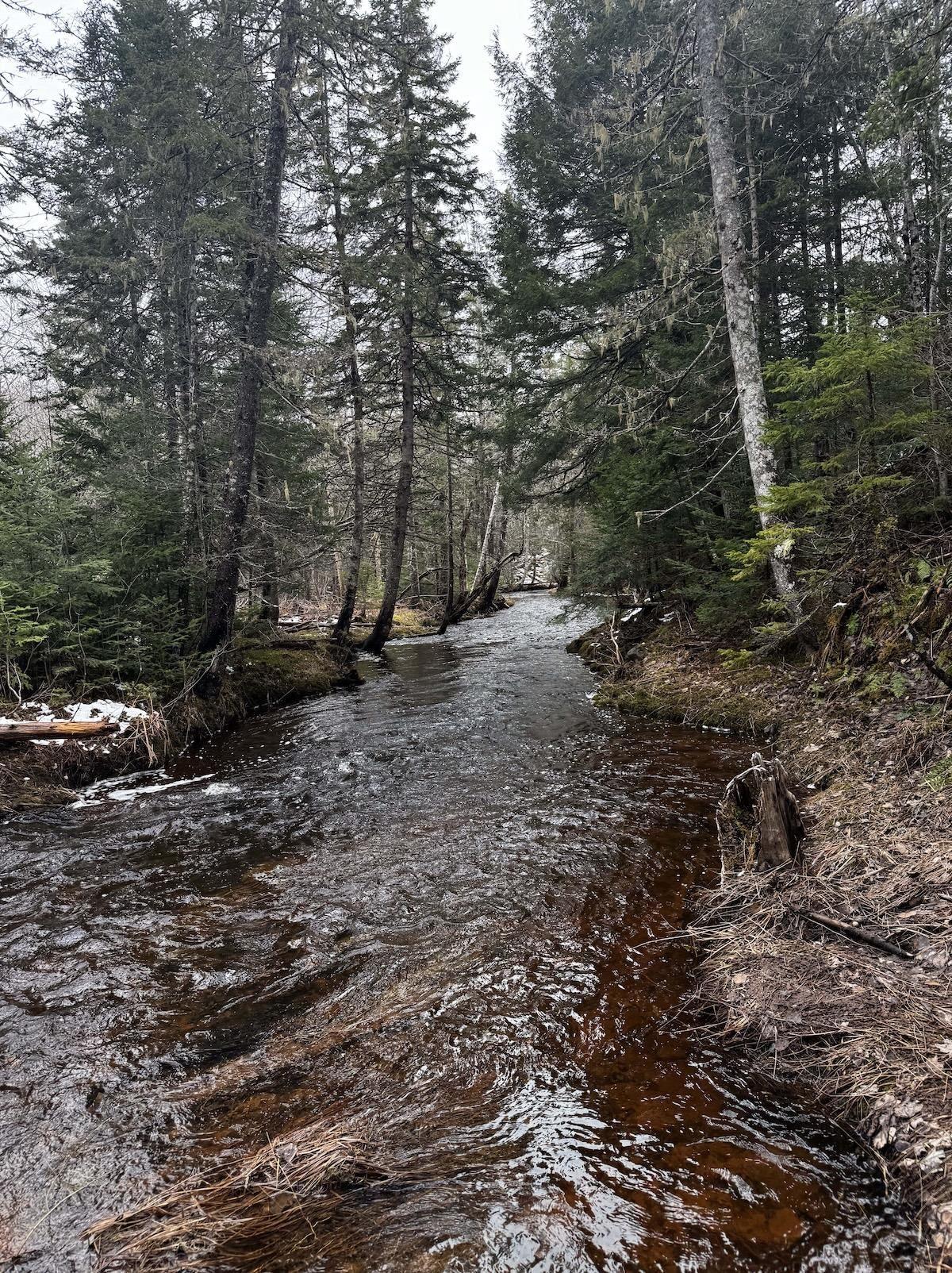 $60,000.00: Lot 6 Lake Road, Wentworth