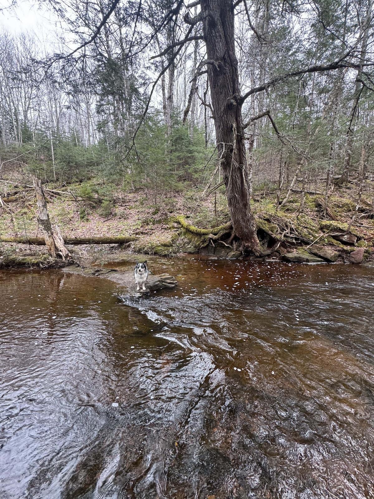 $60,000.00: Lot 6 Lake Road, Wentworth