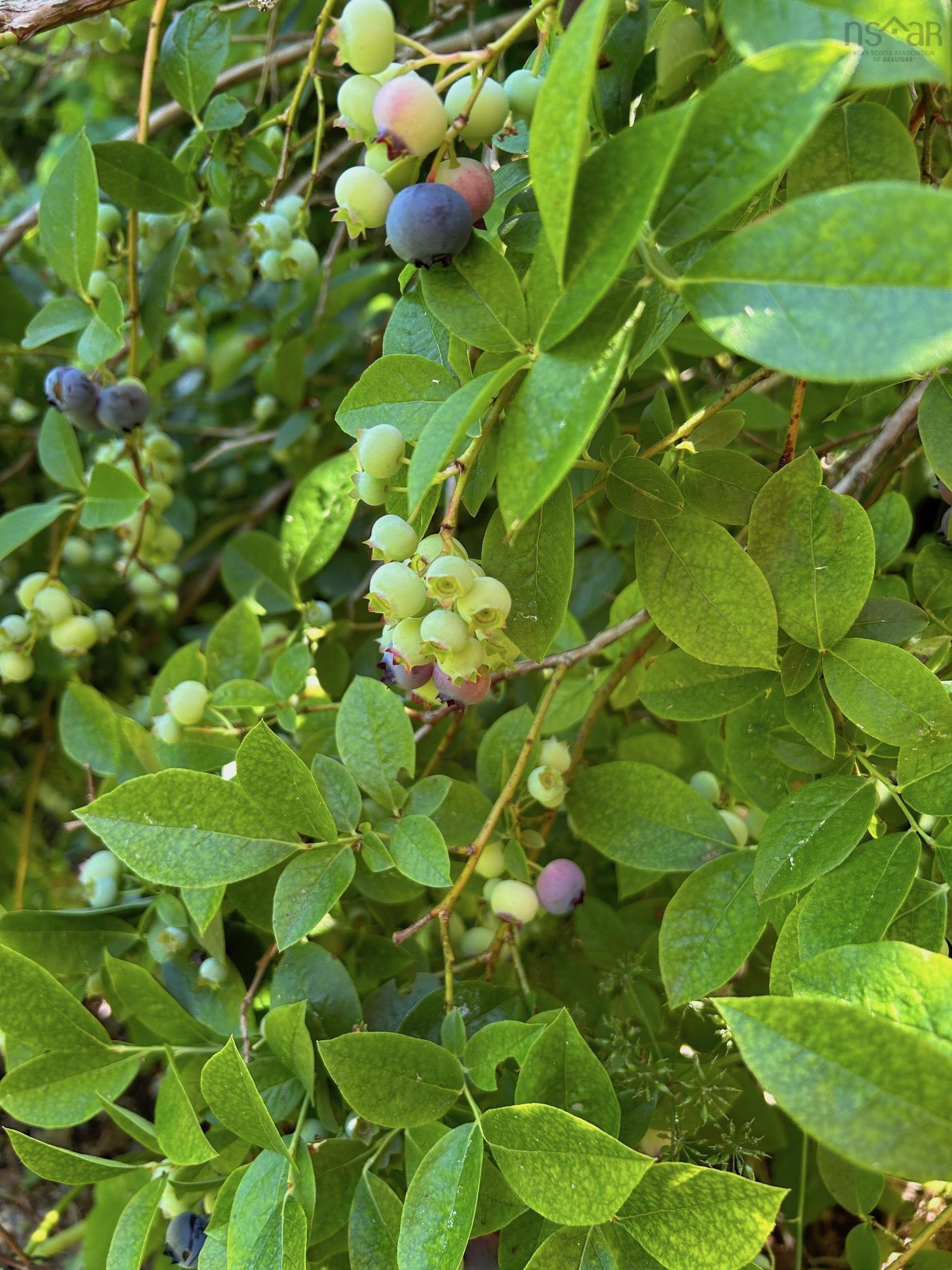 $475,000.00: 142 Gold River Road, Gold River