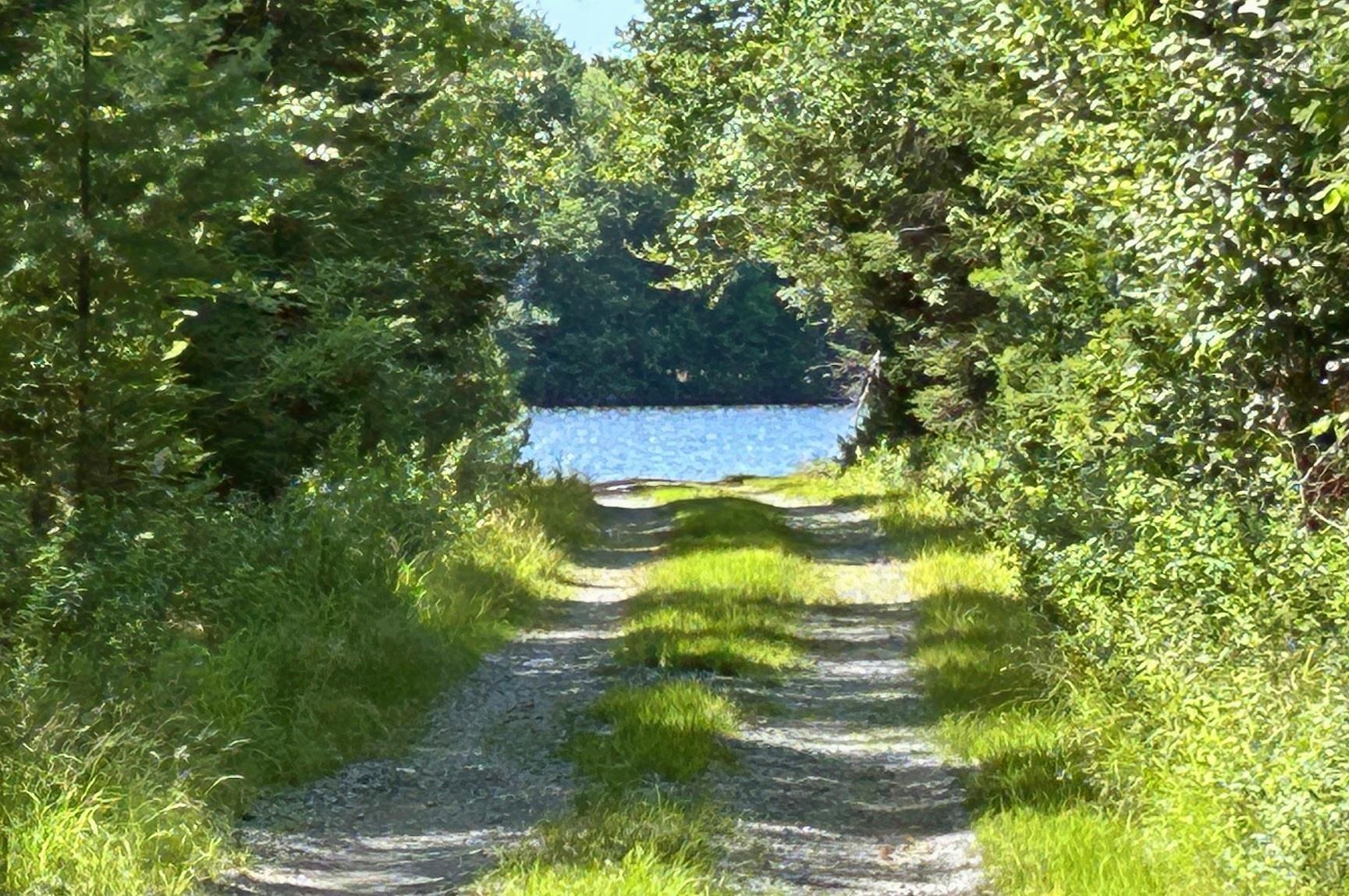 $125,000.00: 34 Balsam Road, Parkdale