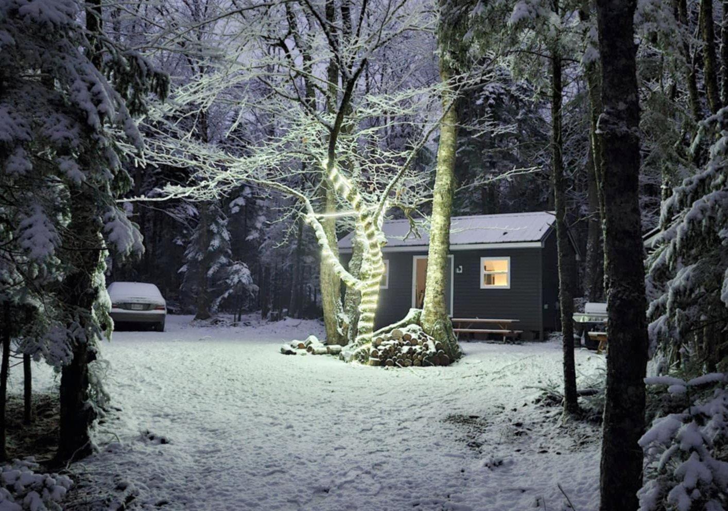 $125,000.00: 34 Balsam Road, Parkdale