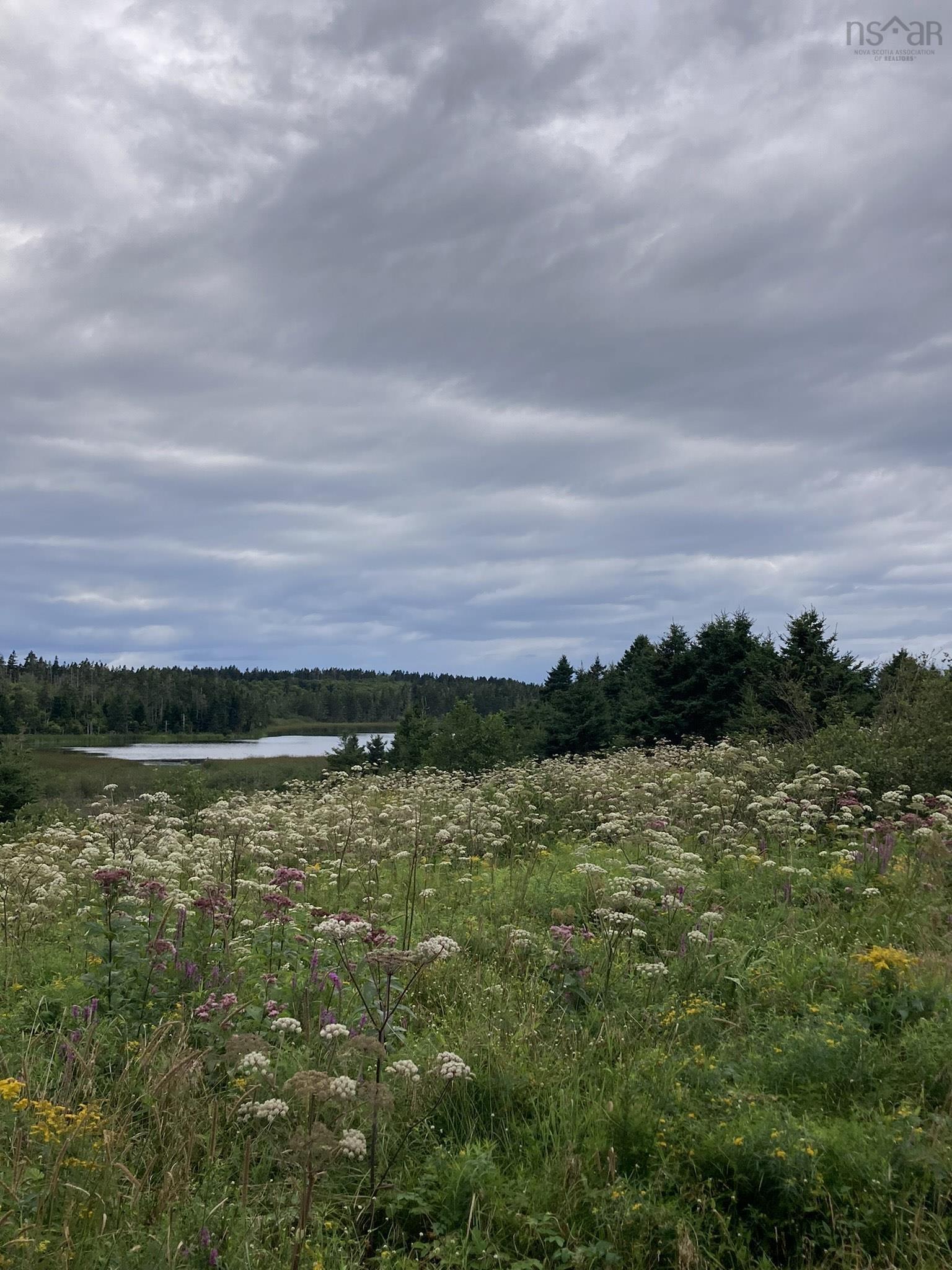 $13,500.00: Lot Off Highway 247, Lower L