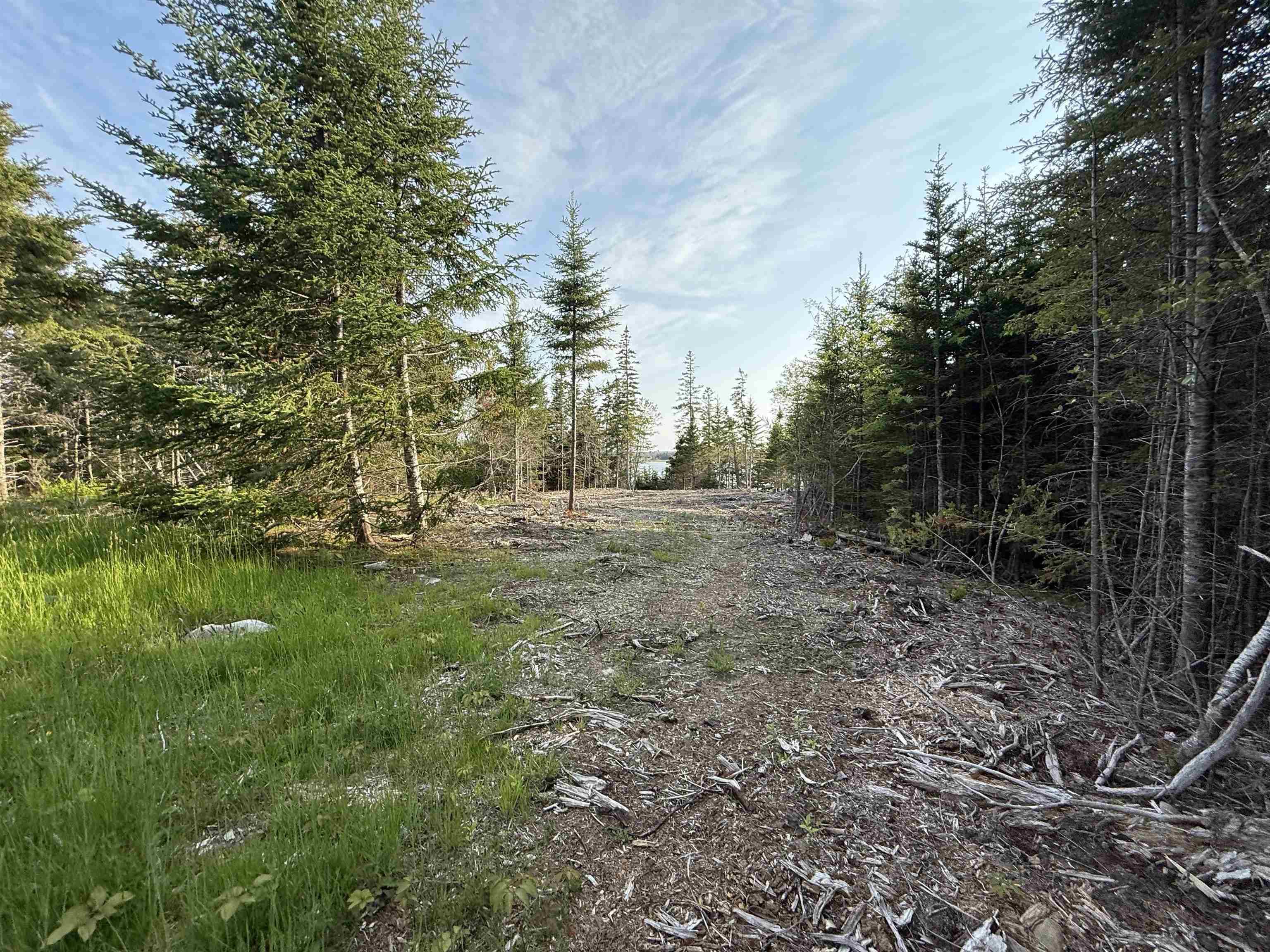 $80,000.00: Lot East Sable, East Sable River