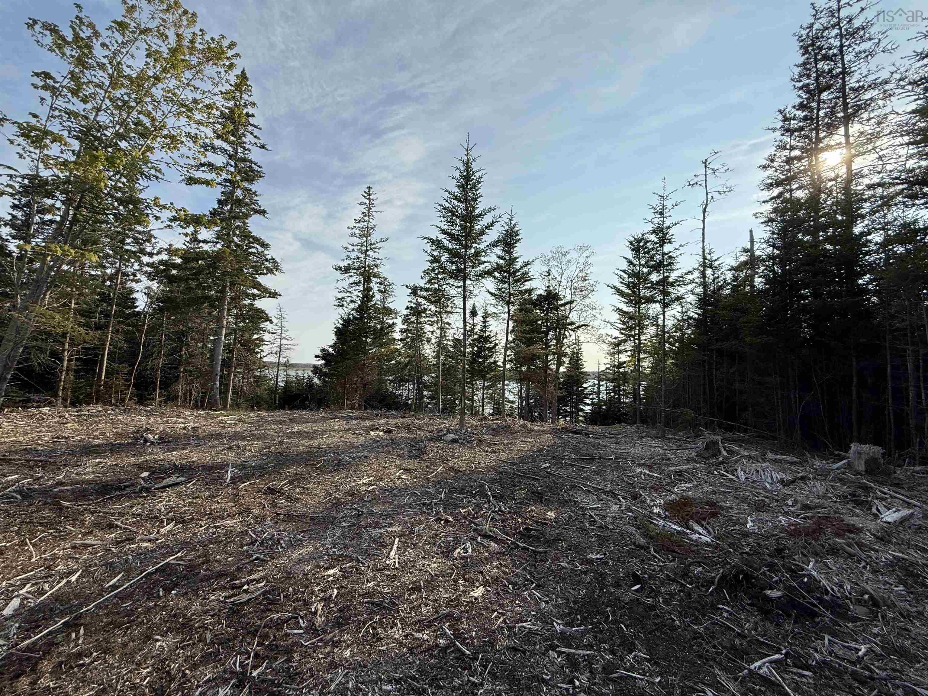 $80,000.00: Lot East Sable, East Sable River