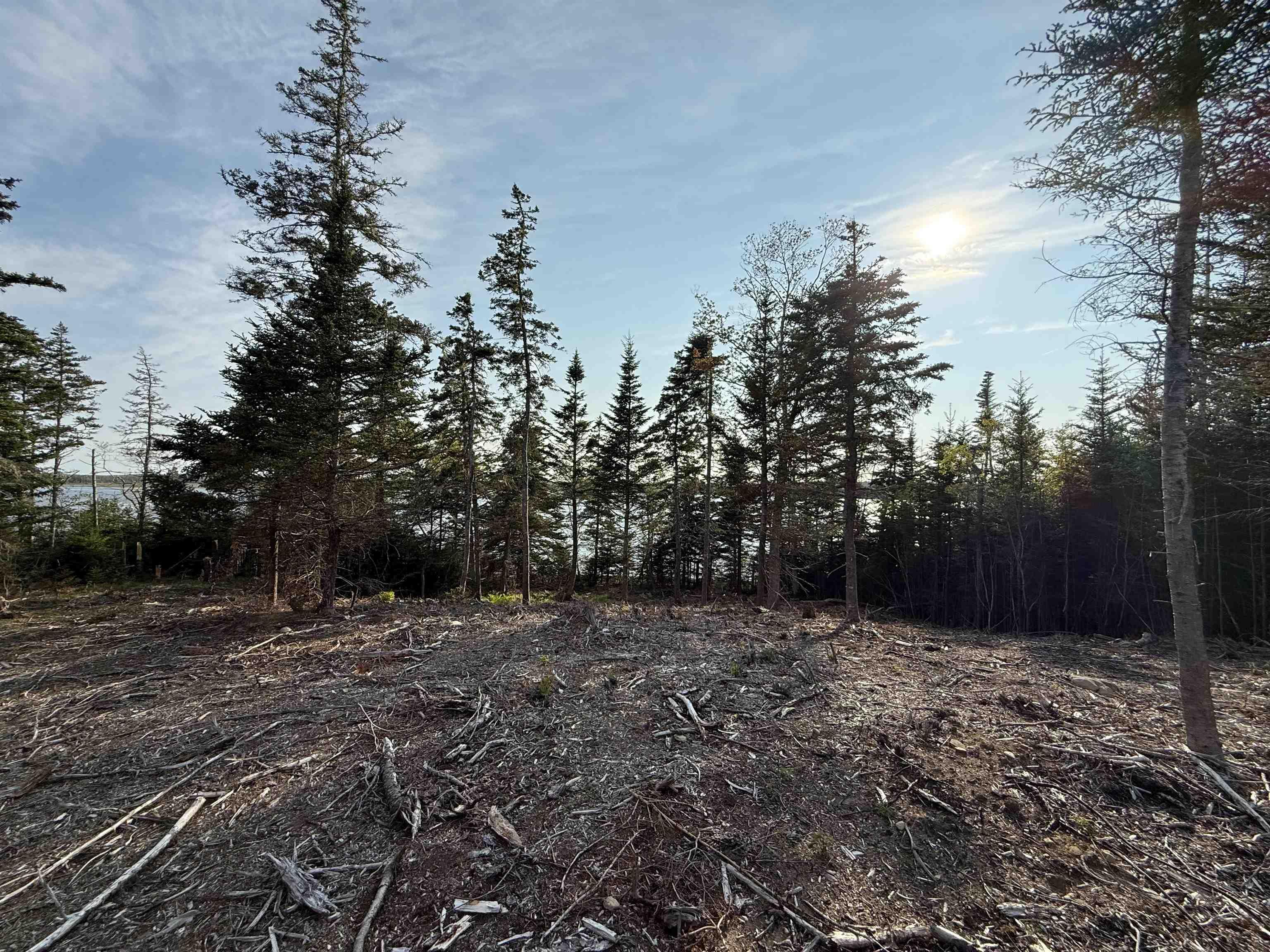 $80,000.00: Lot East Sable, East Sable River