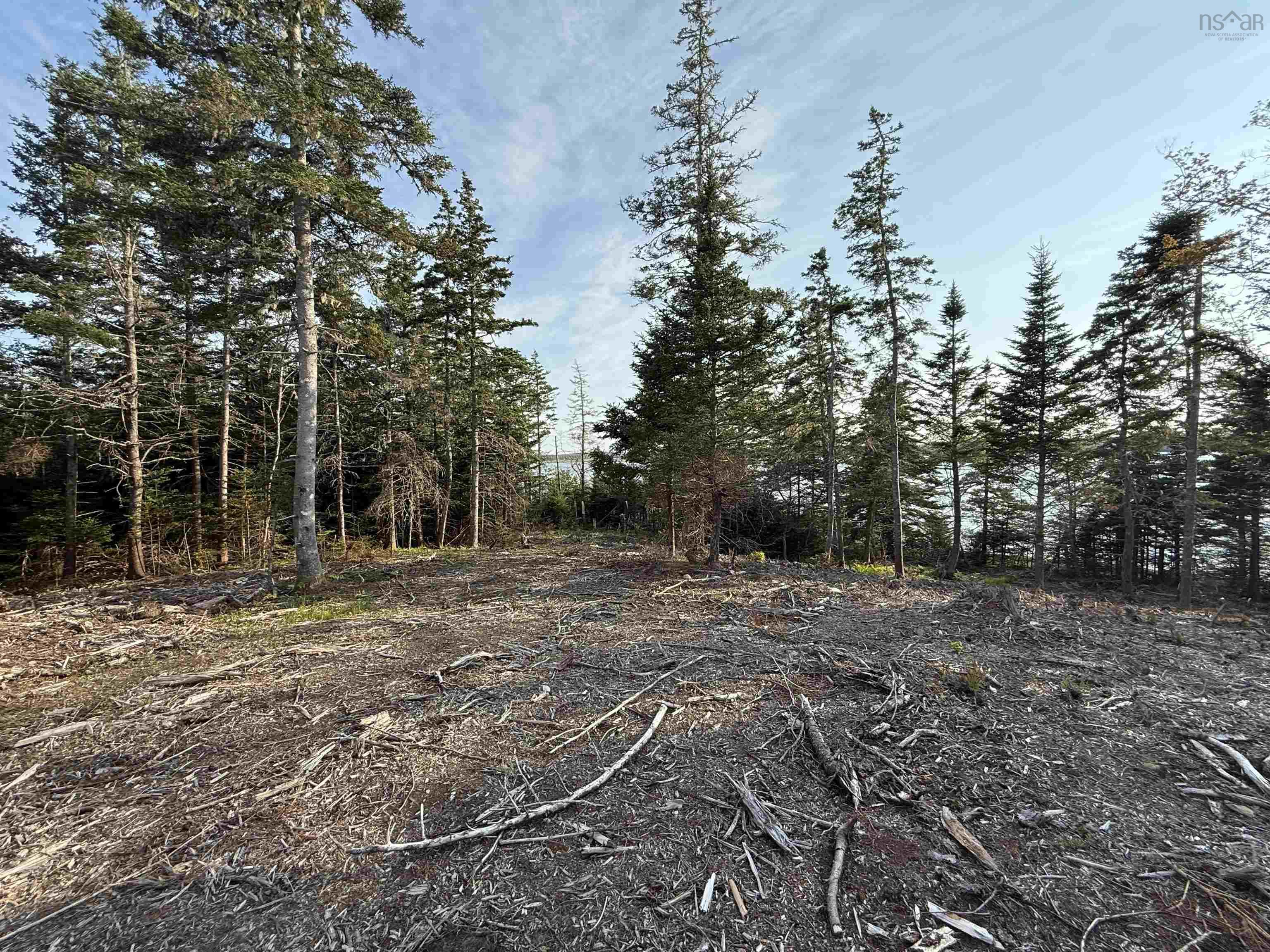 $80,000.00: Lot East Sable, East Sable River