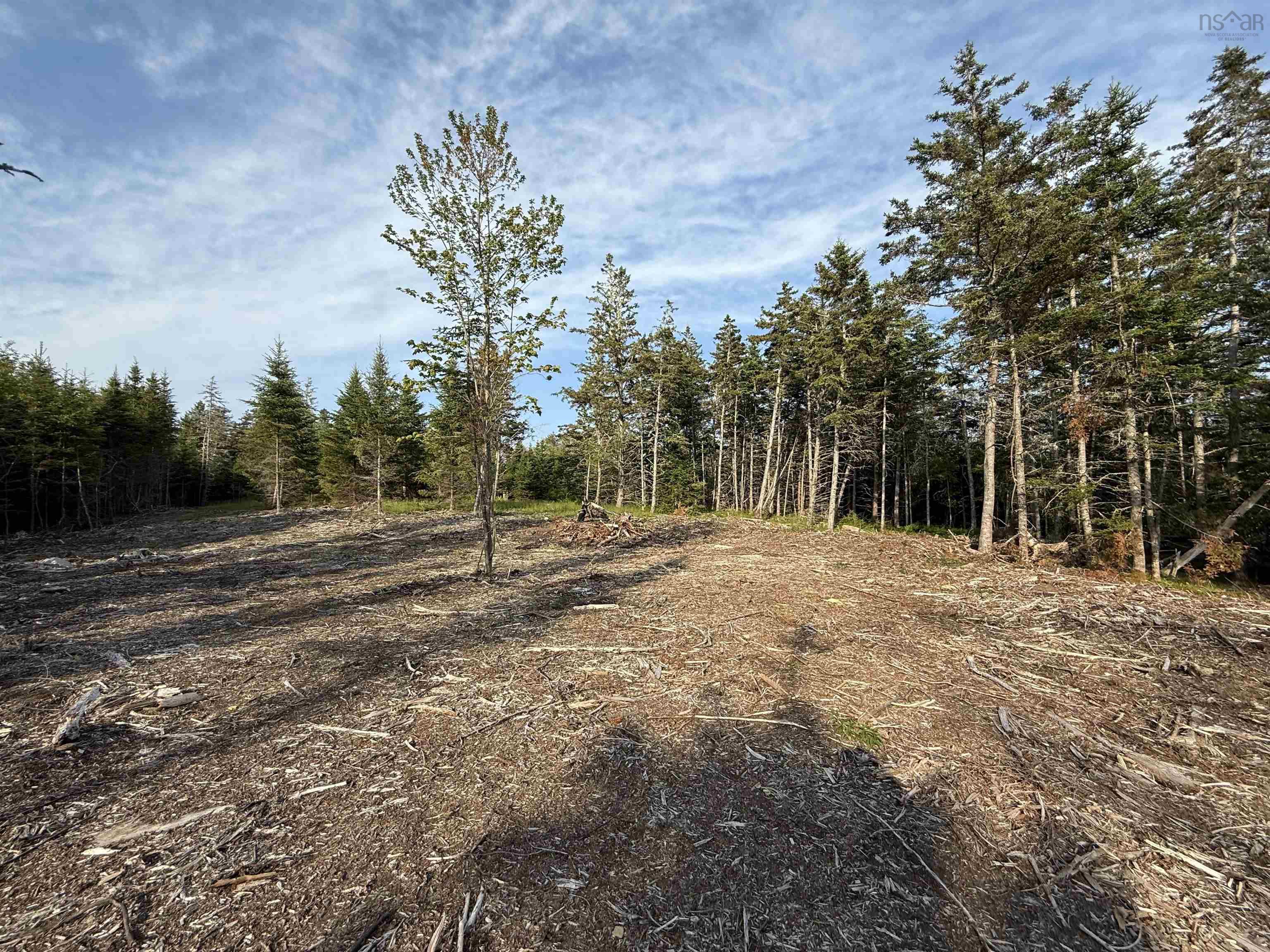 $80,000.00: Lot East Sable, East Sable River