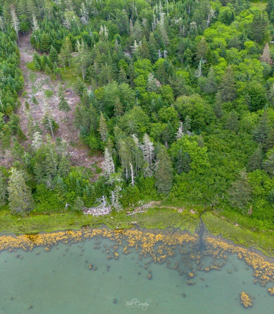 $80,000.00: Lot East Sable, East Sable River