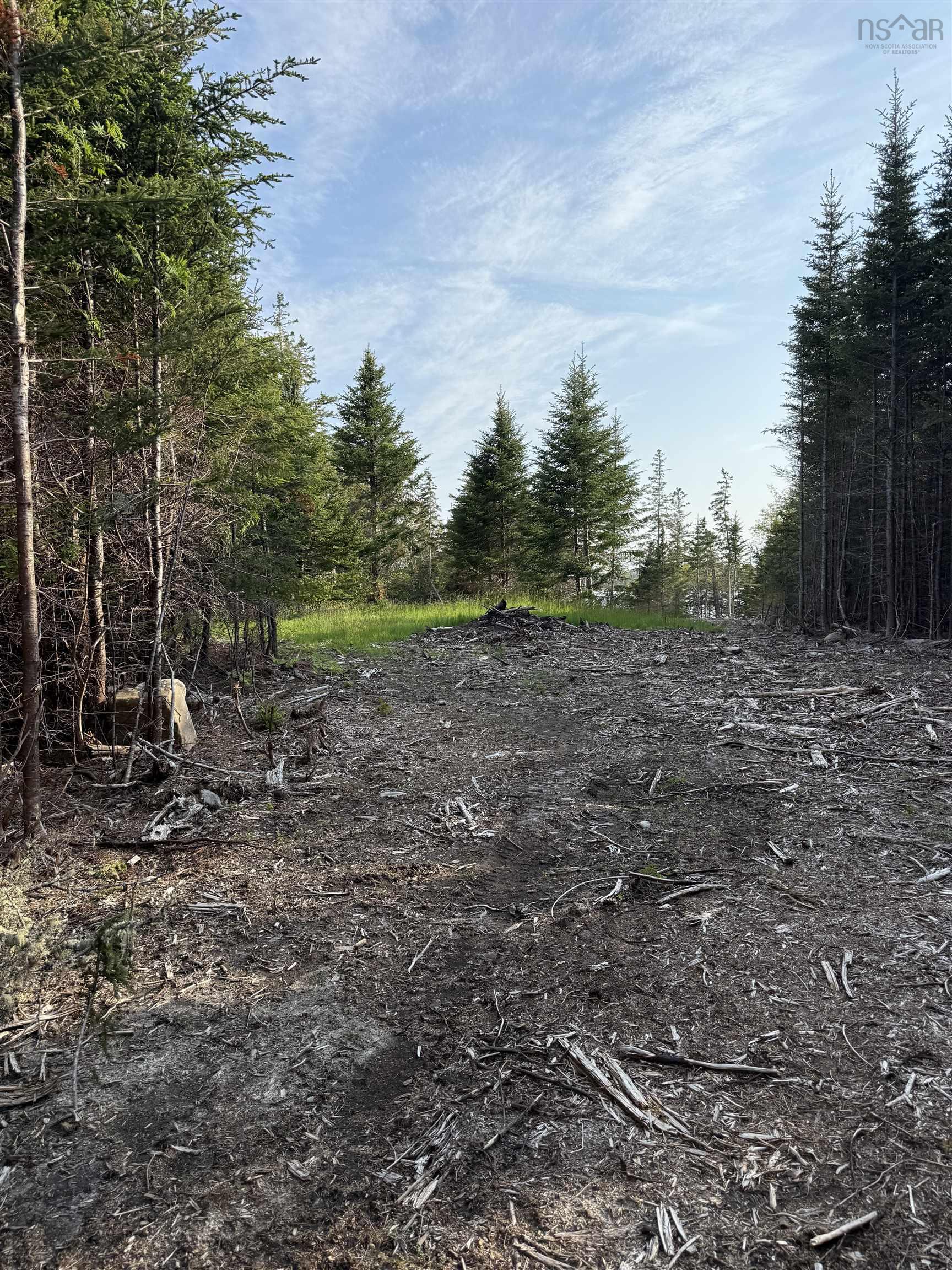 $80,000.00: Lot East Sable, East Sable River