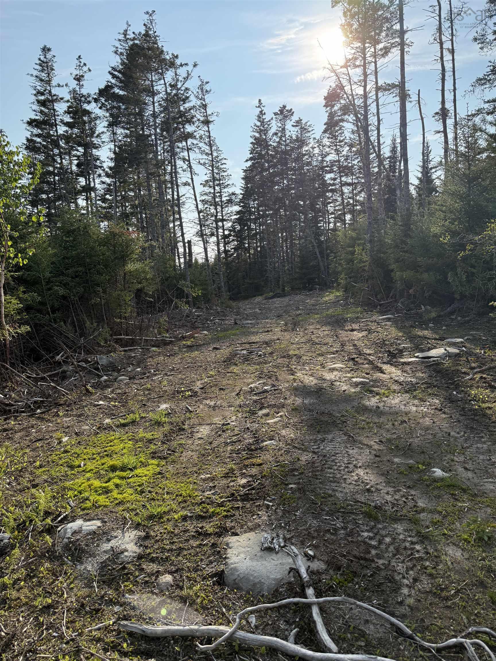 $80,000.00: Lot East Sable, East Sable River