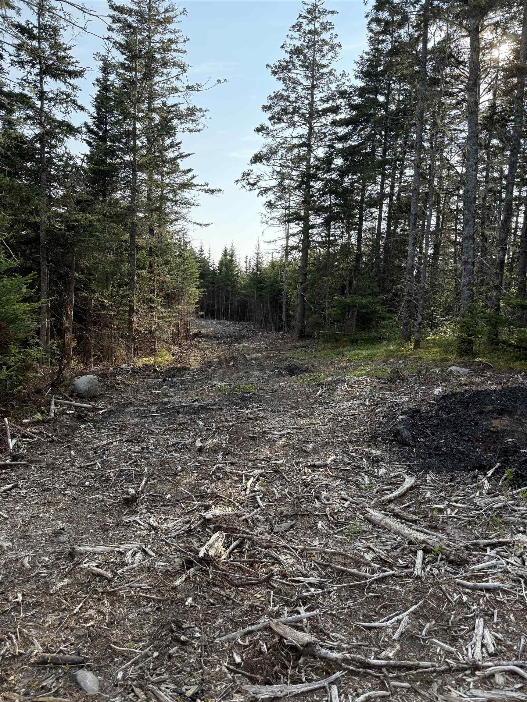 $80,000.00: Lot East Sable, East Sable River