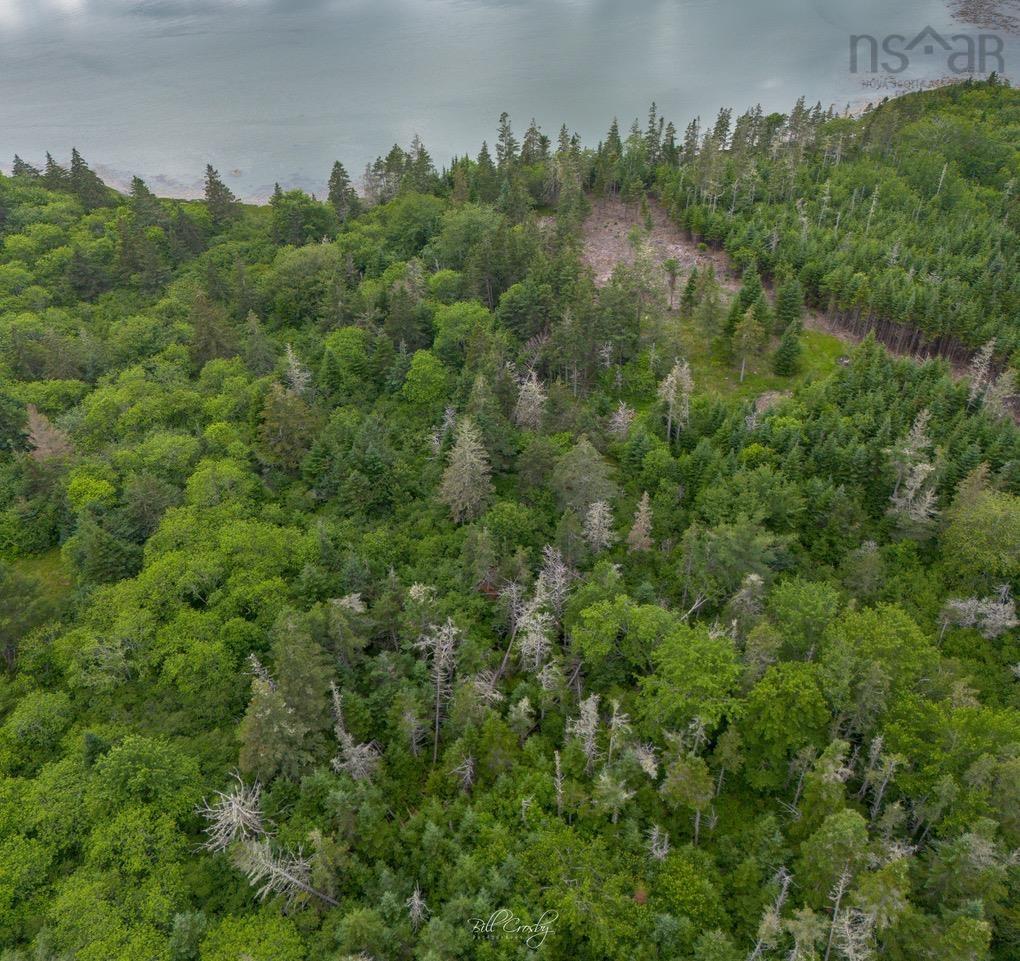 $80,000.00: Lot East Sable, East Sable River