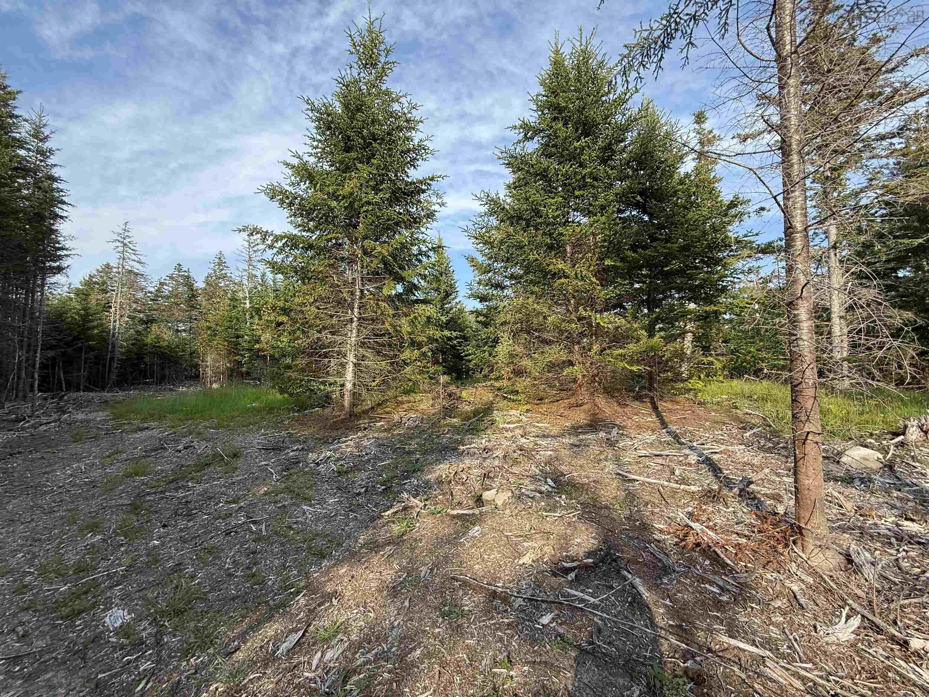 $80,000.00: Lot East Sable, East Sable River