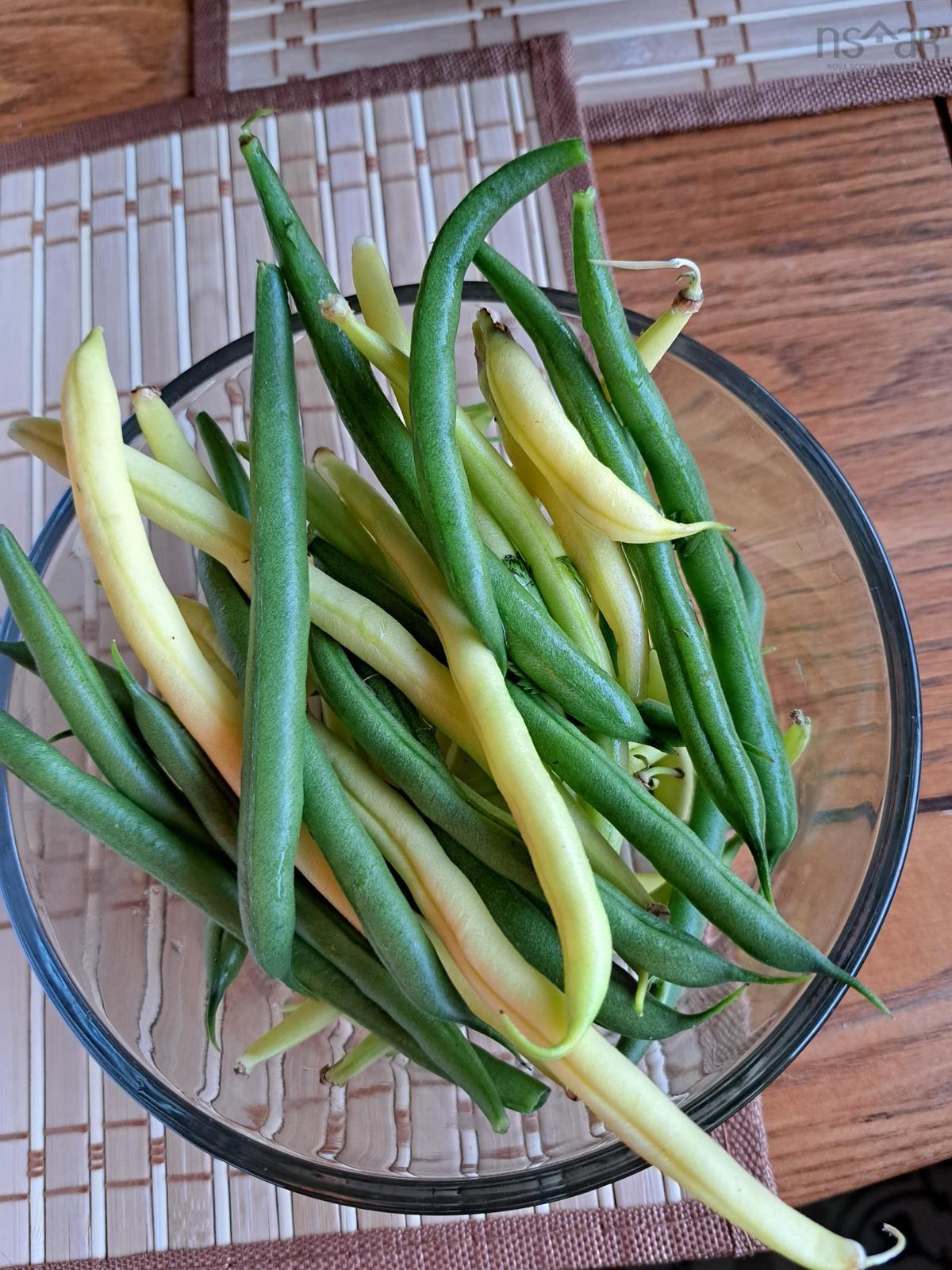 $325,000.00: 35 Hector Street, Port Maitland