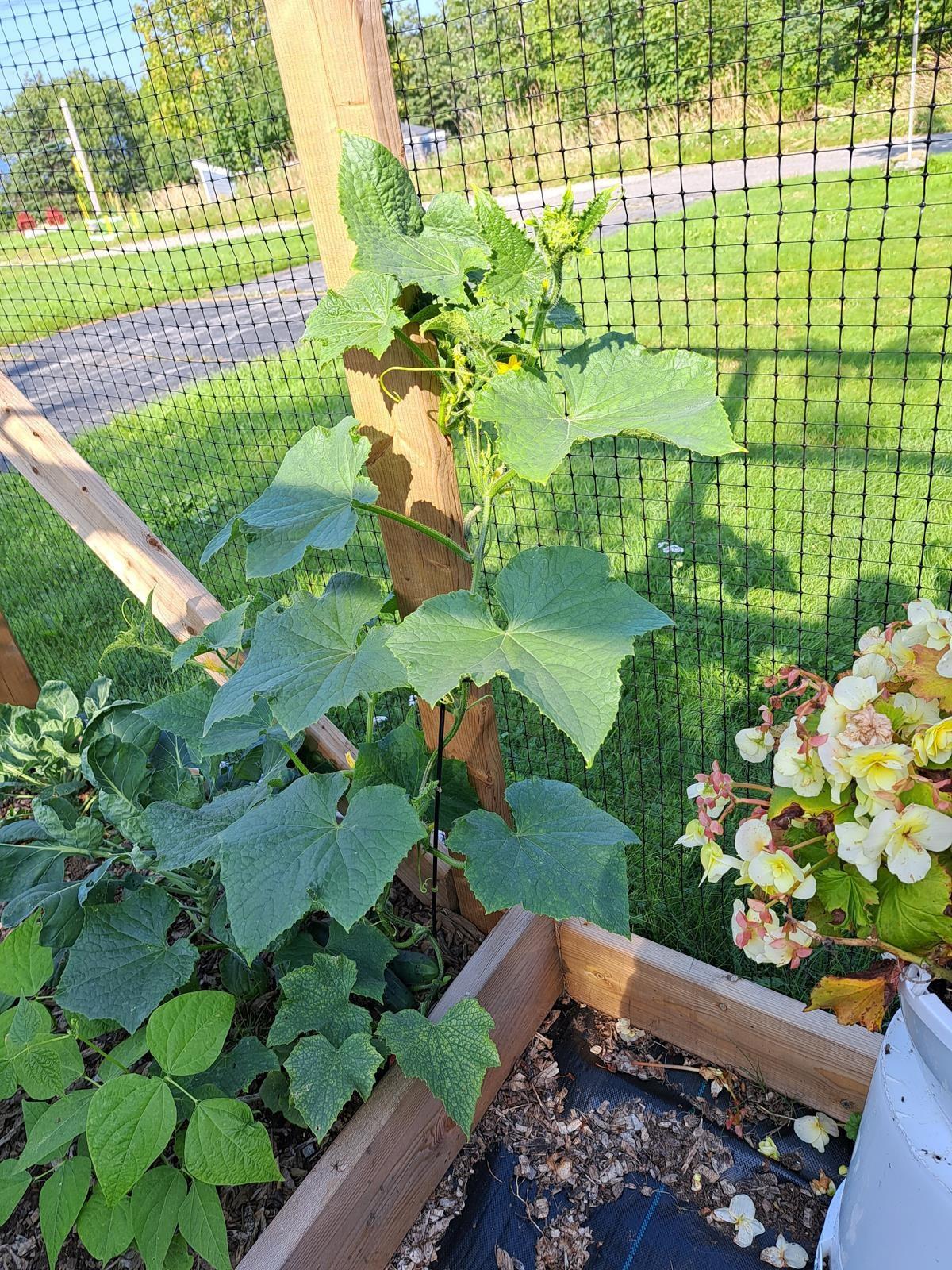 $325,000.00: 35 Hector Street, Port Maitland