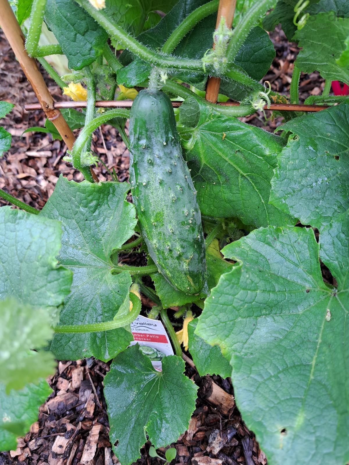 $325,000.00: 35 Hector Street, Port Maitland