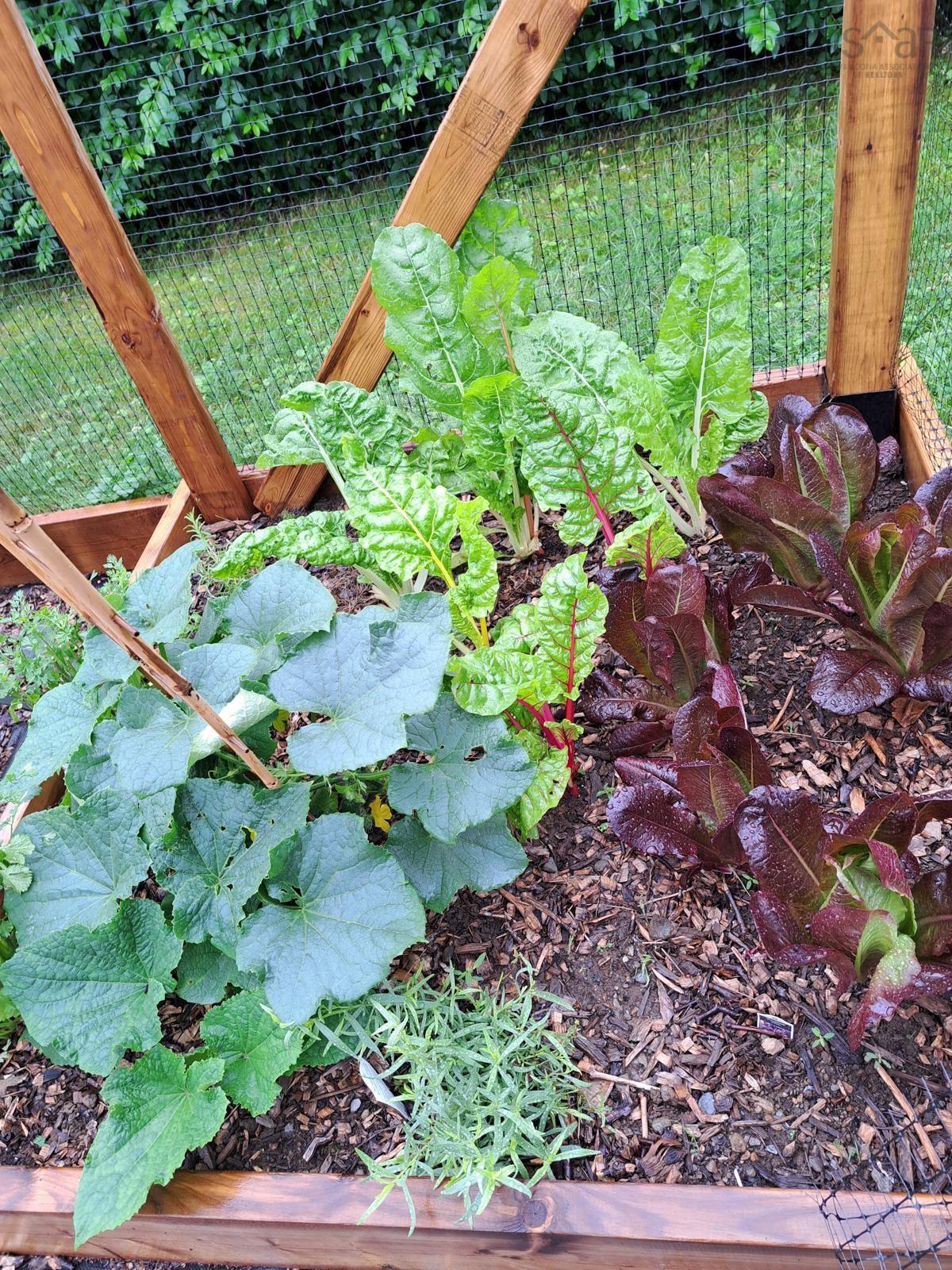 $325,000.00: 35 Hector Street, Port Maitland