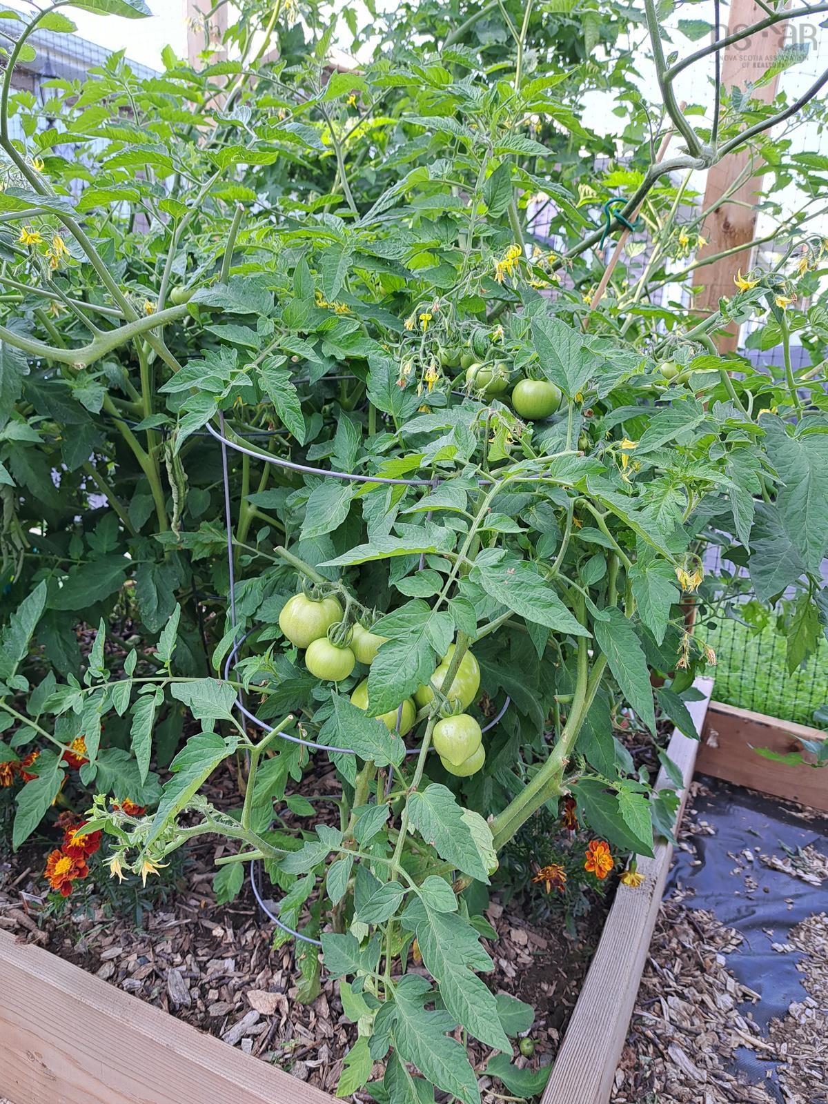 $325,000.00: 35 Hector Street, Port Maitland