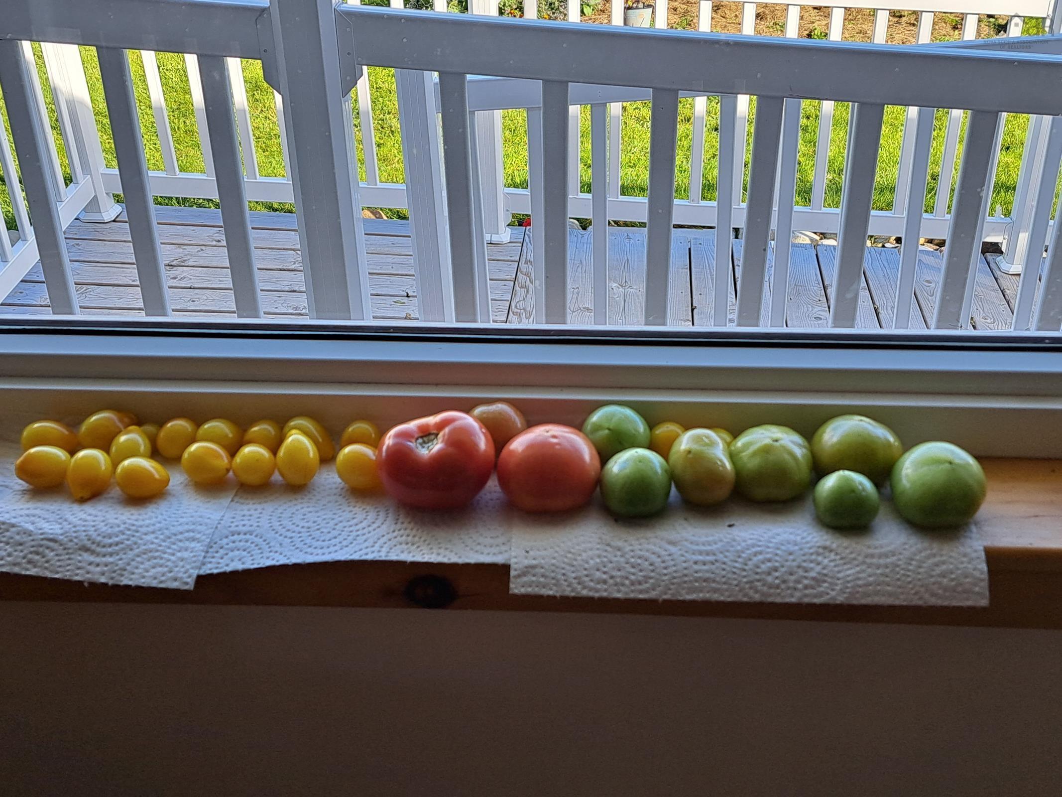 $325,000.00: 35 Hector Street, Port Maitland