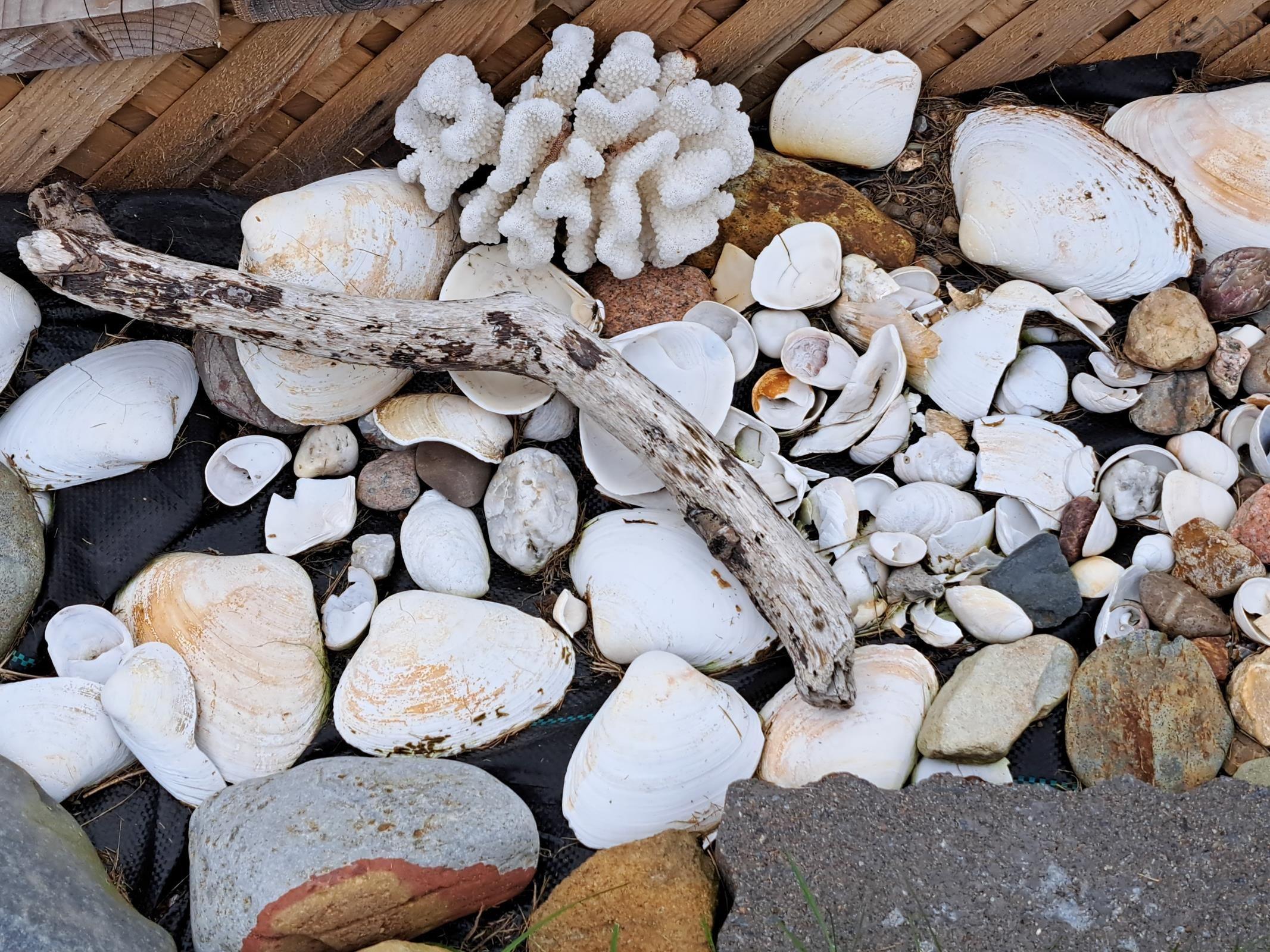 $325,000.00: 35 Hector Street, Port Maitland