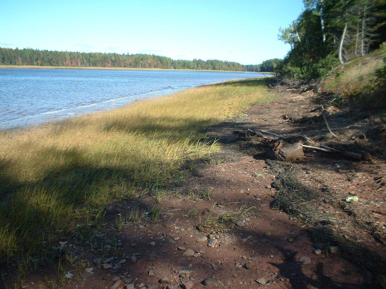 $112,000.00: 660 Pugwash Riveer Road, Pugwash River