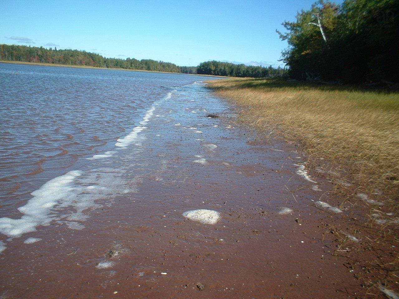 $112,000.00: 660 Pugwash Riveer Road, Pugwash River