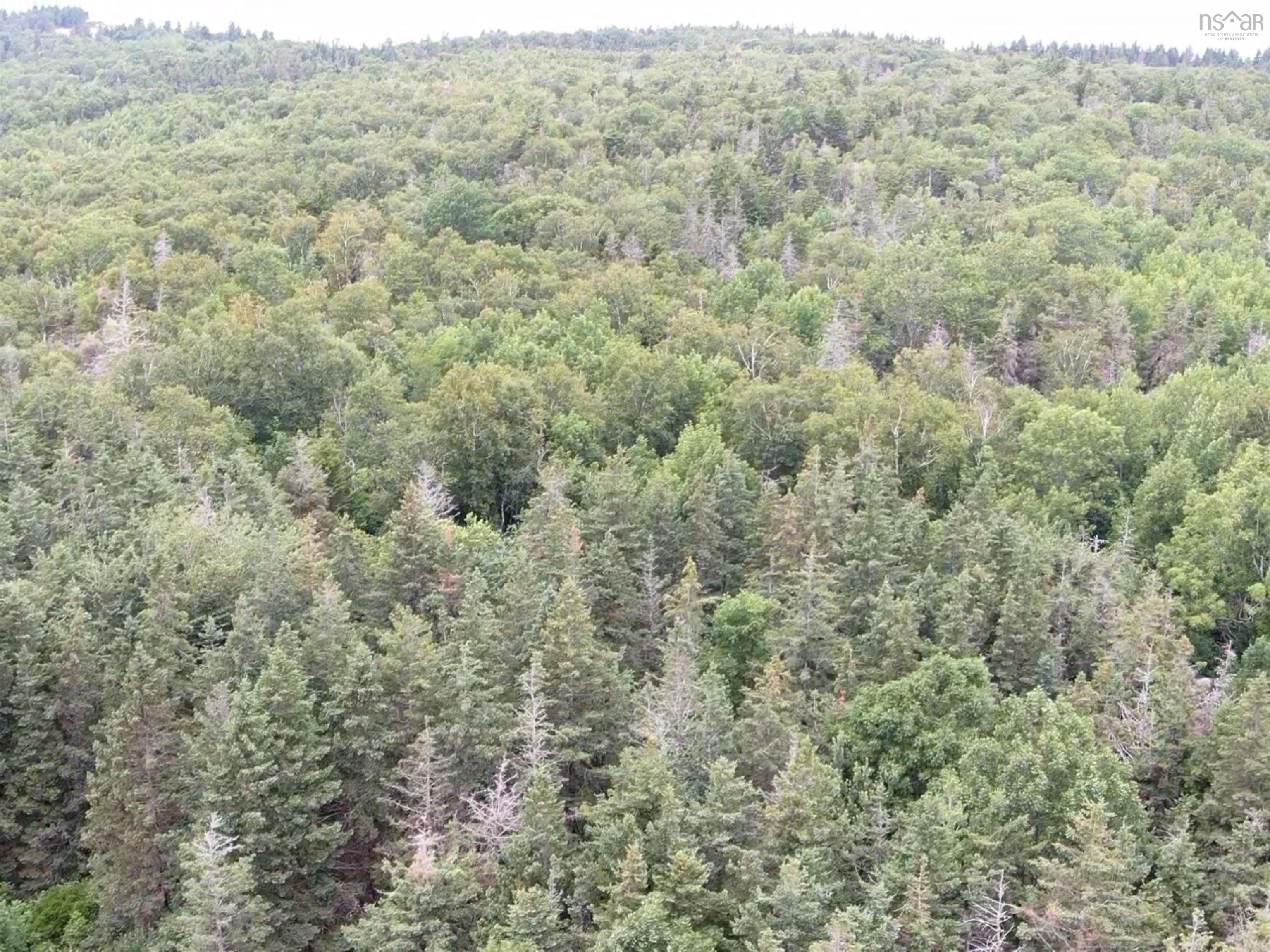 $200,000.00: Lot Shore Road E, Hampton