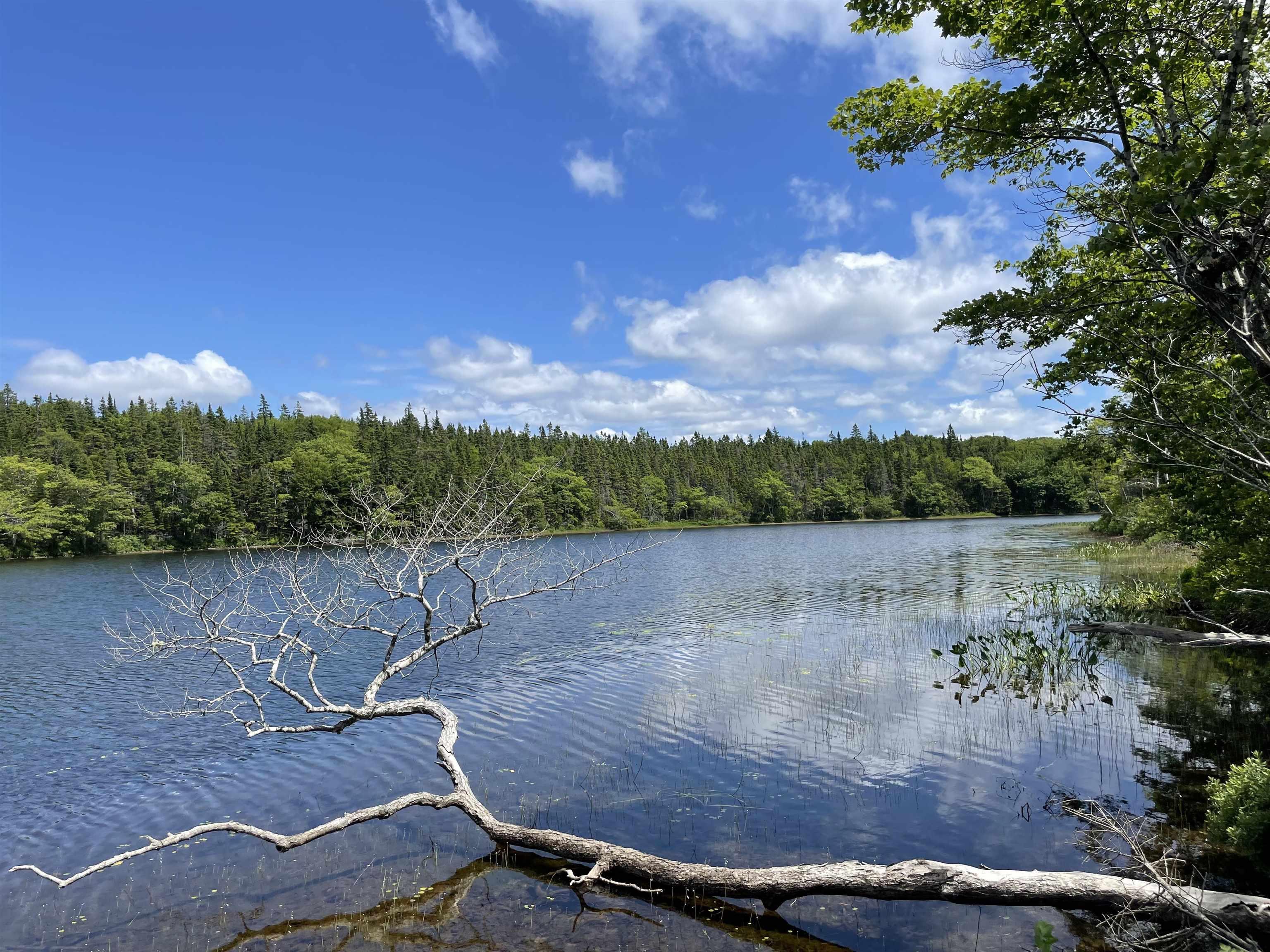 $39,900.00: Lot 2 Westside Loch Lomond Road, Loch Lomond