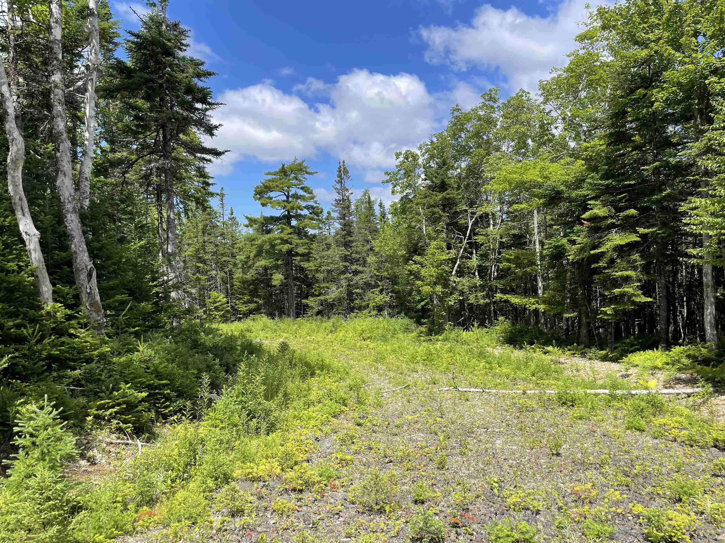 $39,900.00: Lot 2 Westside Loch Lomond Road, Loch Lomond