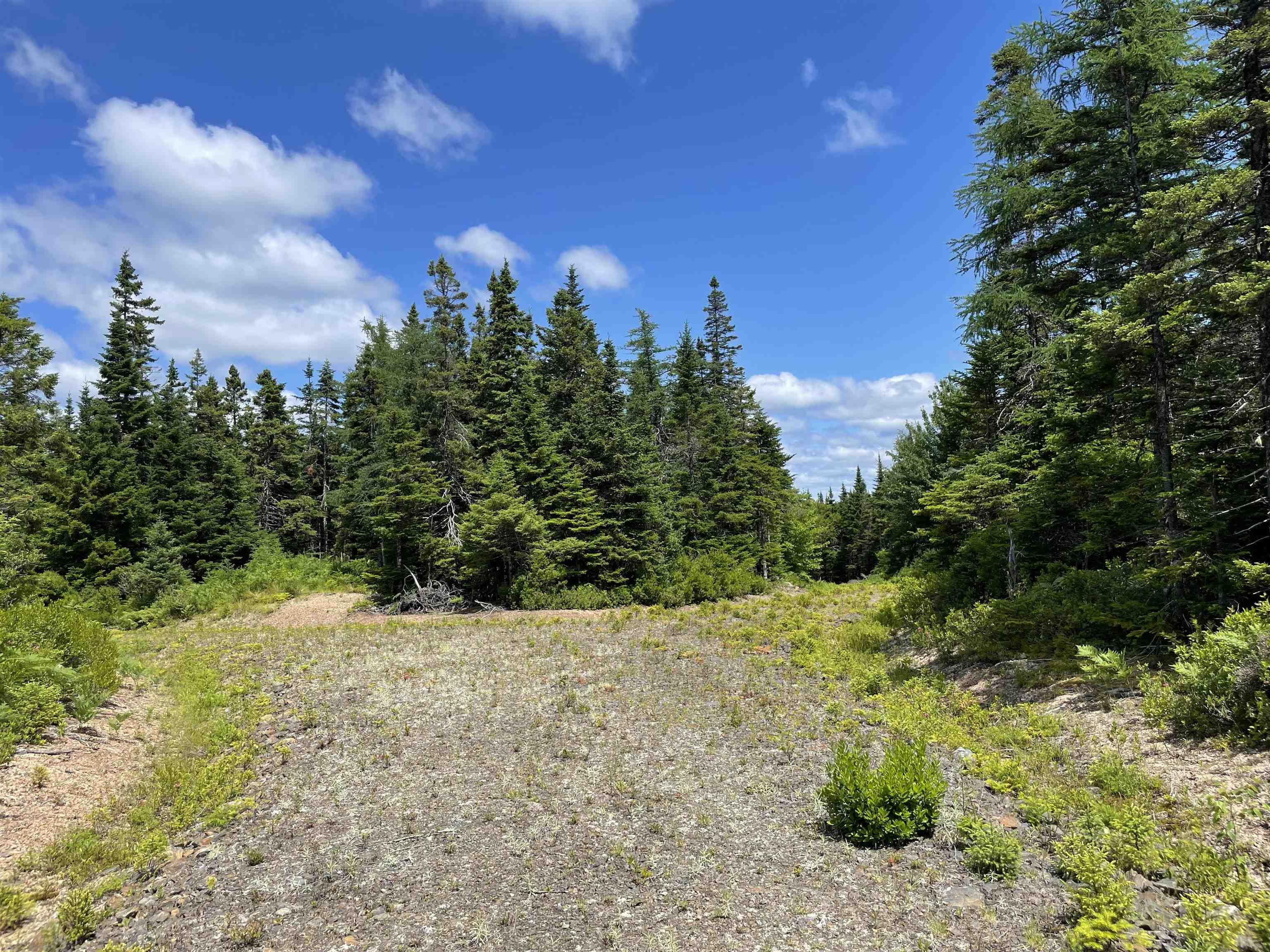 $39,900.00: Lot 2 Westside Loch Lomond Road, Loch Lomond