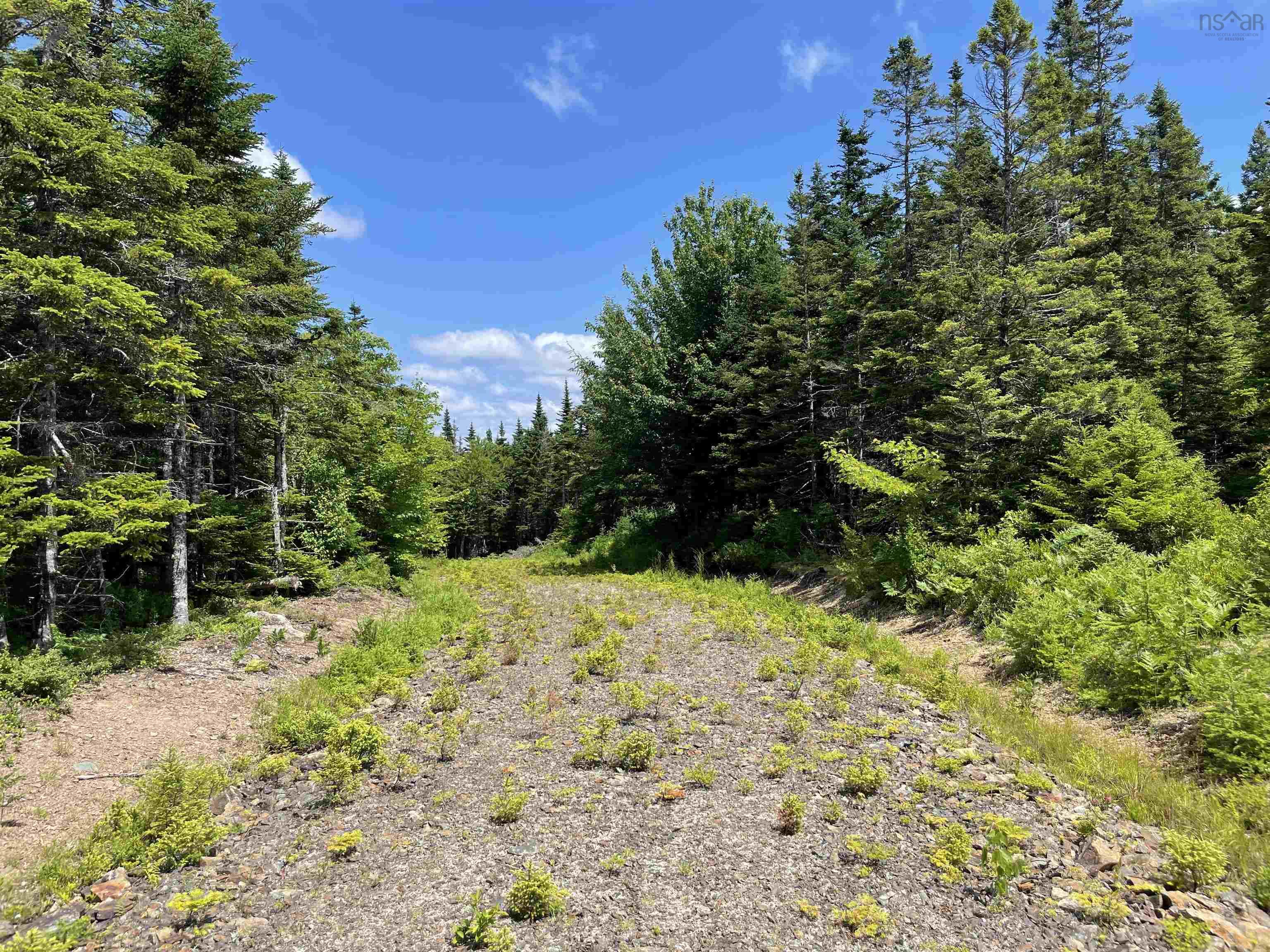 $39,900.00: Lot 2 Westside Loch Lomond Road, Loch Lomond