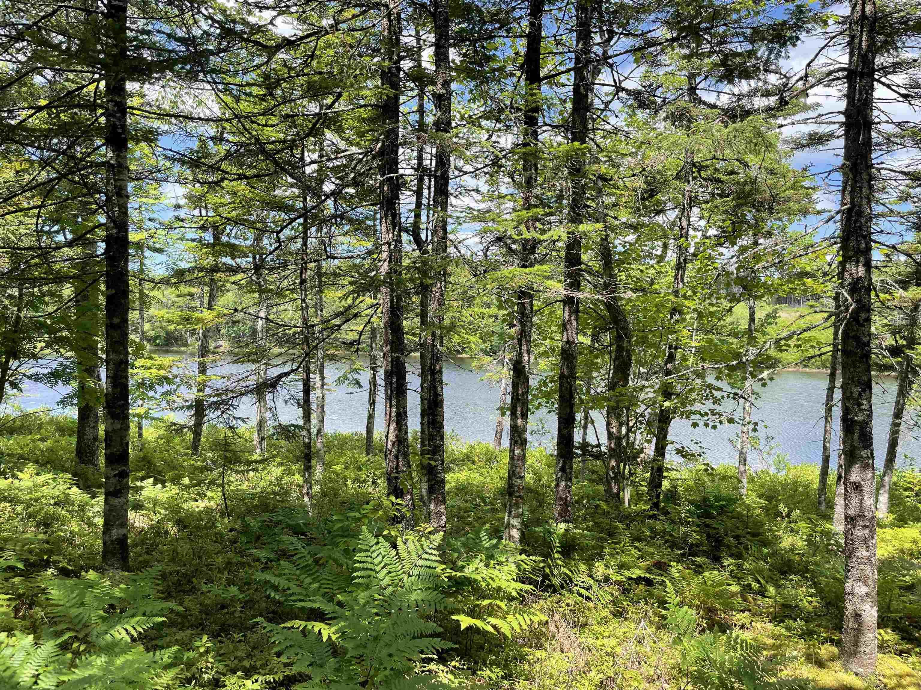 $39,900.00: Lot 2 Westside Loch Lomond Road, Loch Lomond