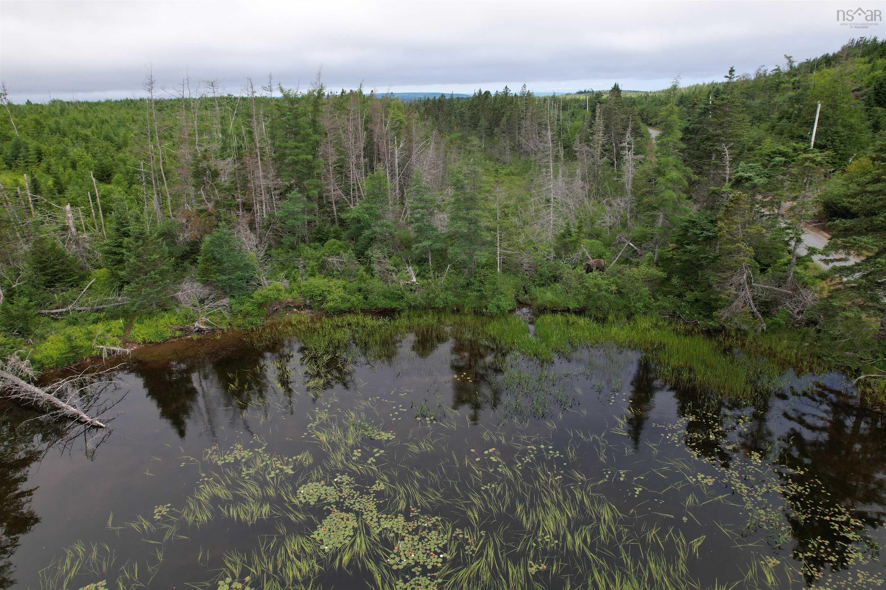 $59,500.00: Lot 6 Rear Big Cove Road, Soldiers Cove