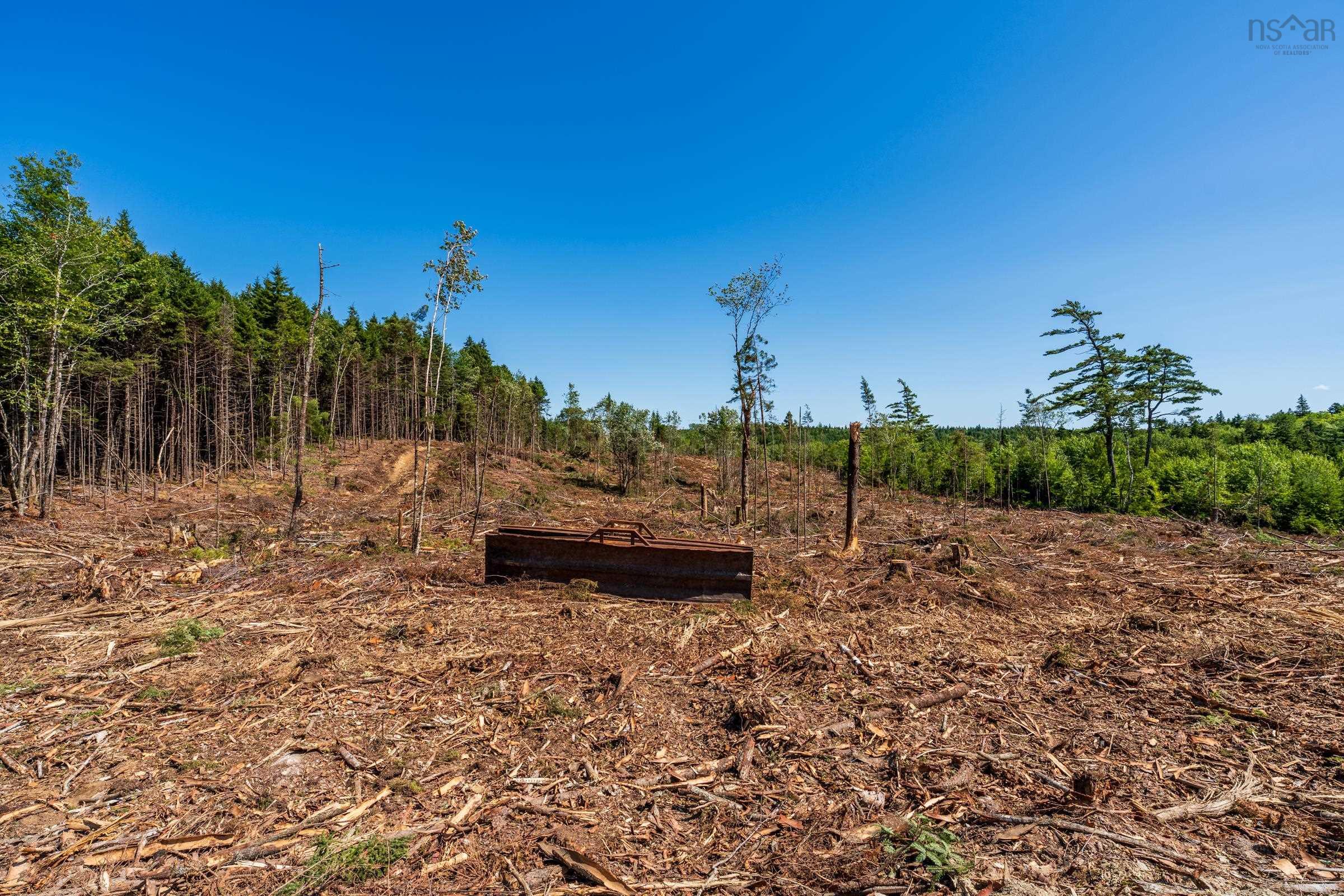 $75,000.00: Lot Ticken Lake Road, Briar Lake