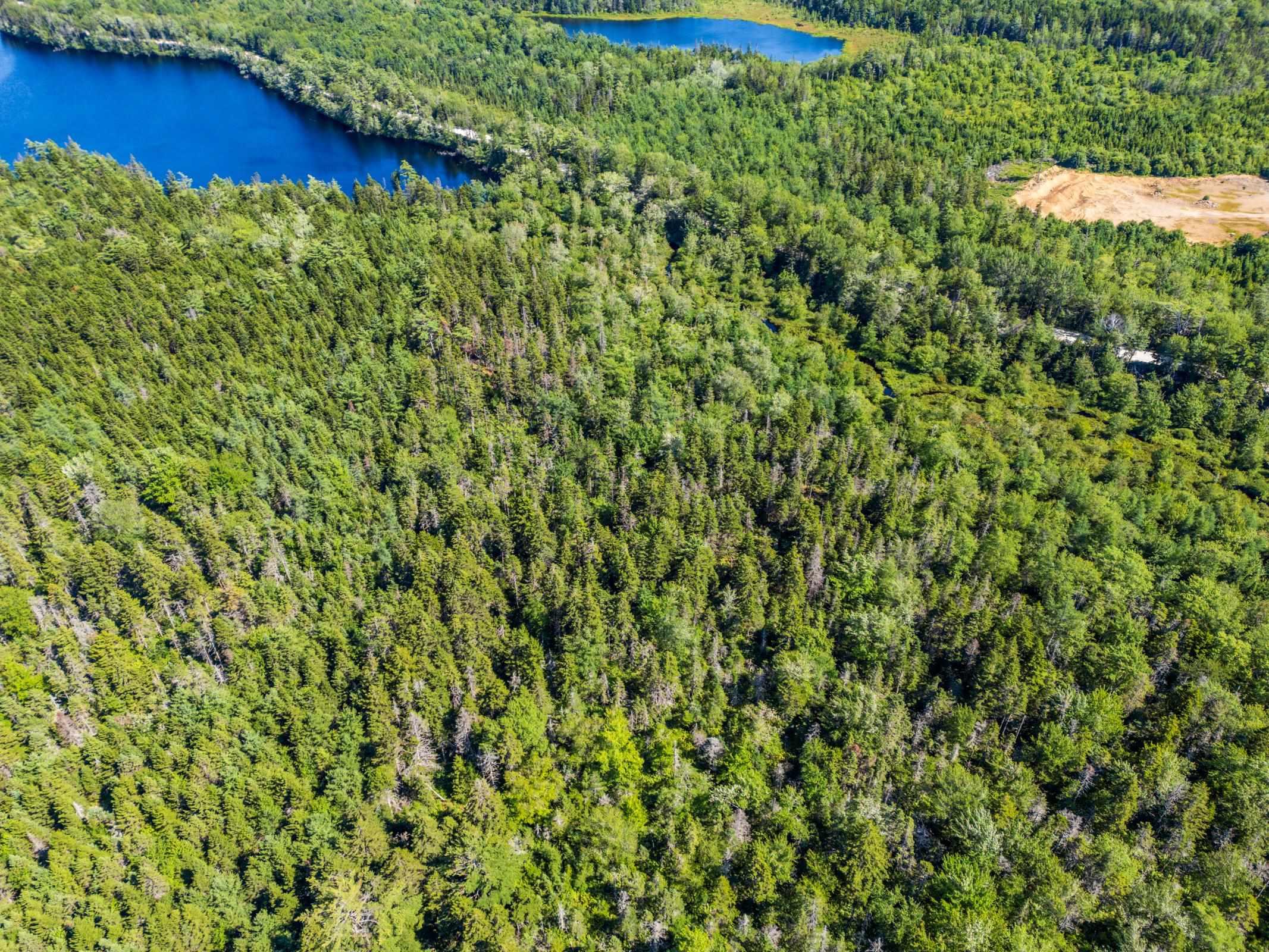 $75,000.00: Lot Ticken Lake Road, Briar Lake