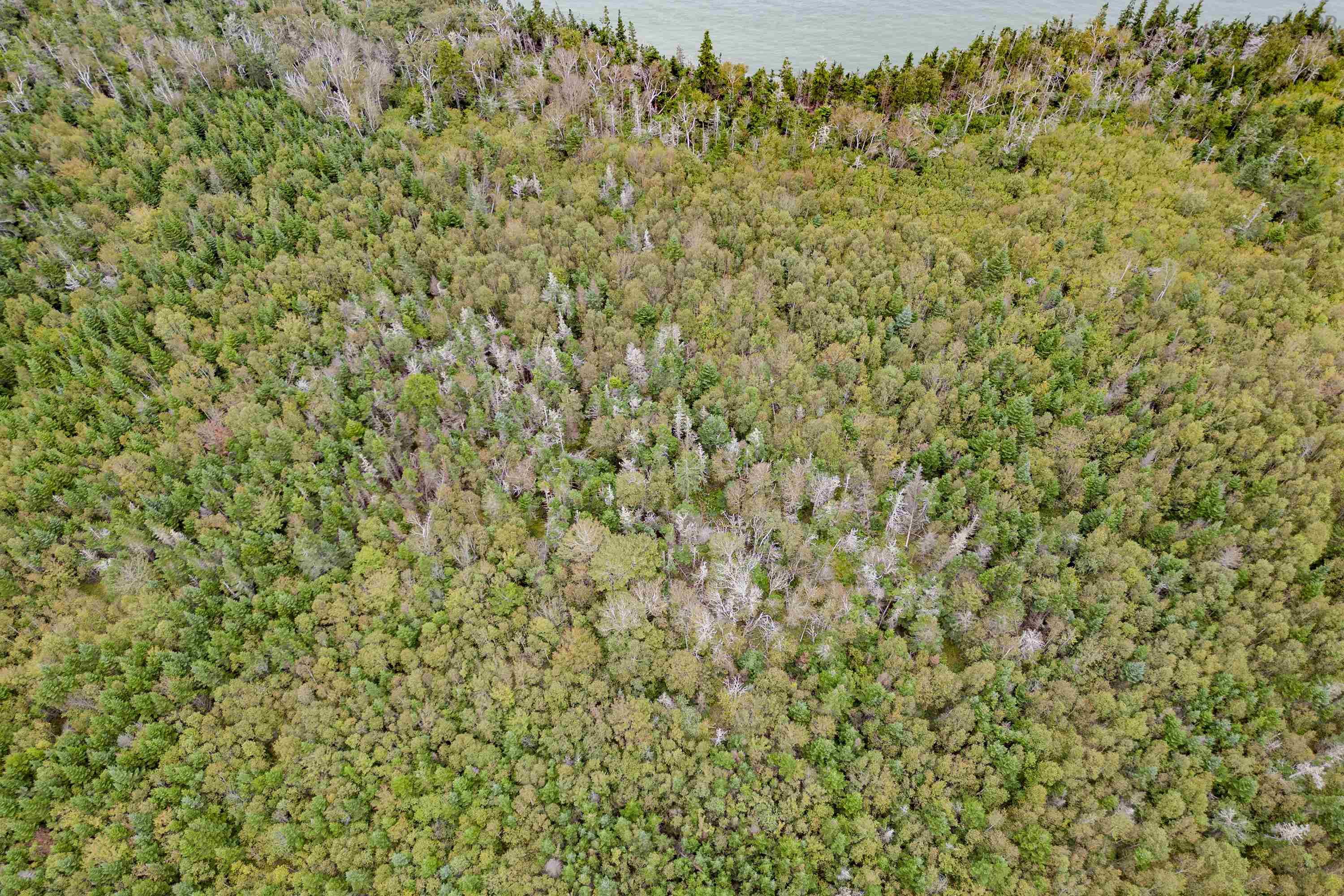 $349,900.00: Lot 631 West Bay Road, West Bay