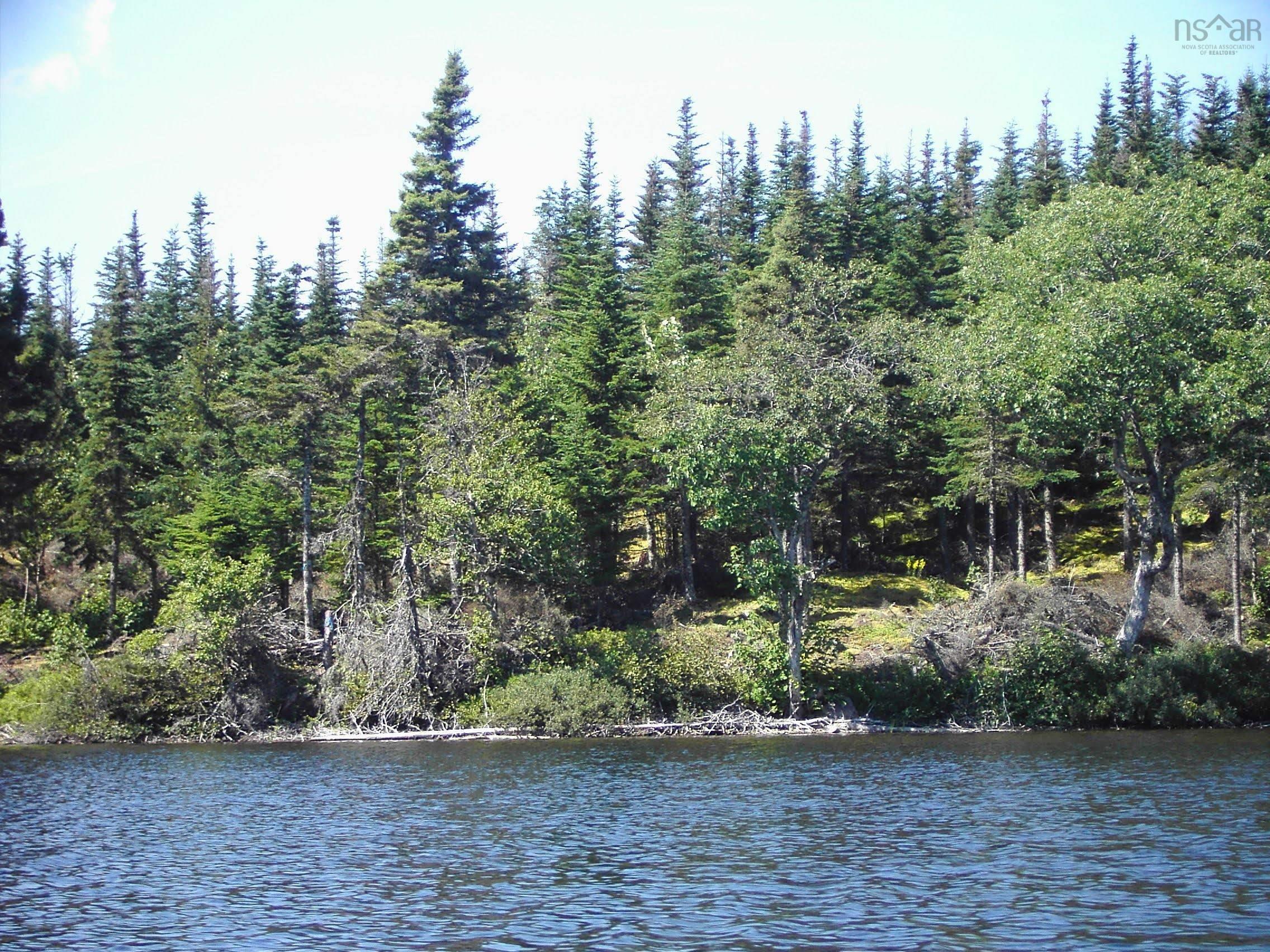 $55,000.00: 45 Joanne Langford Dr, French Road