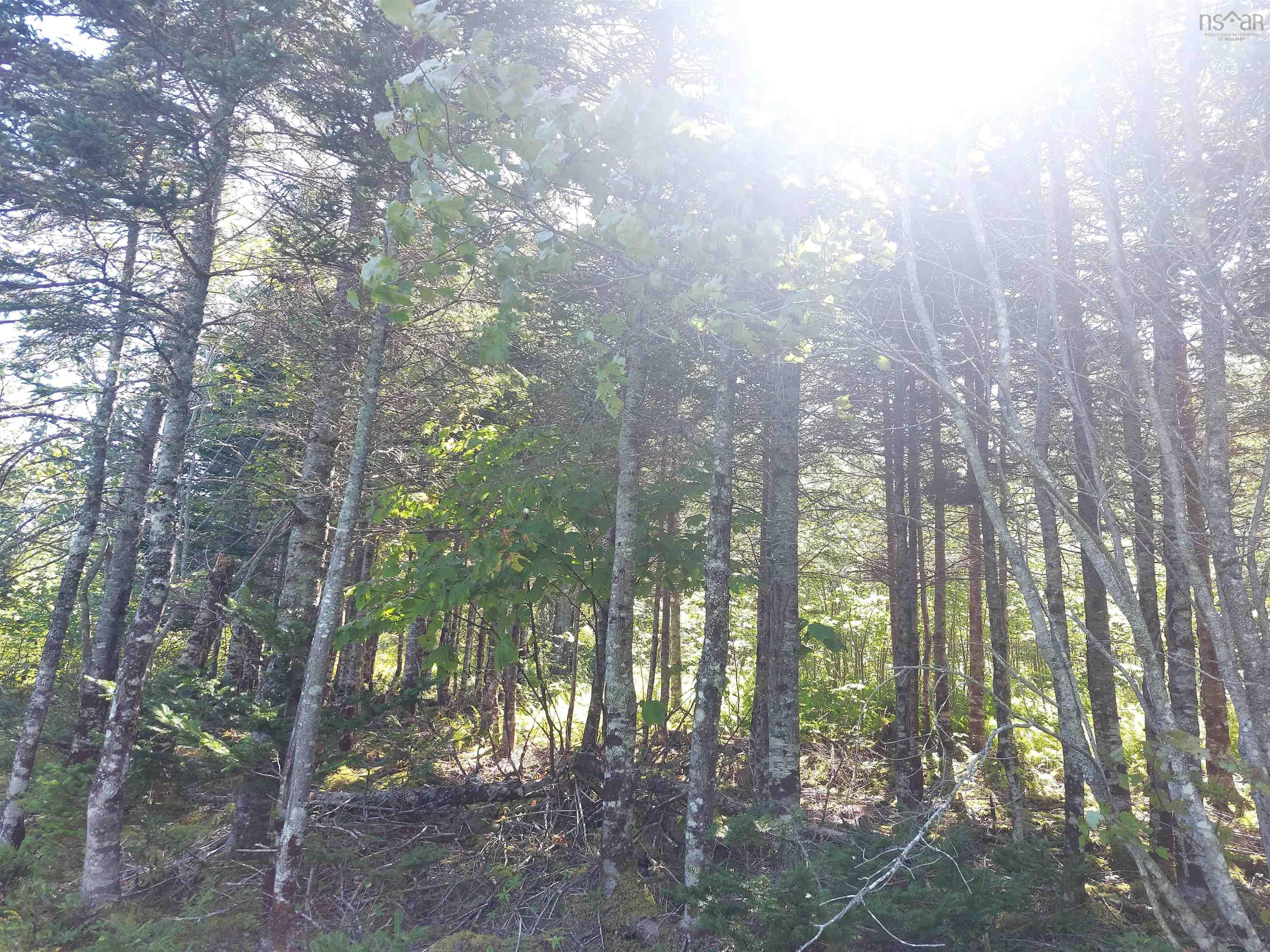 $55,000.00: 45 Joanne Langford Dr, French Road