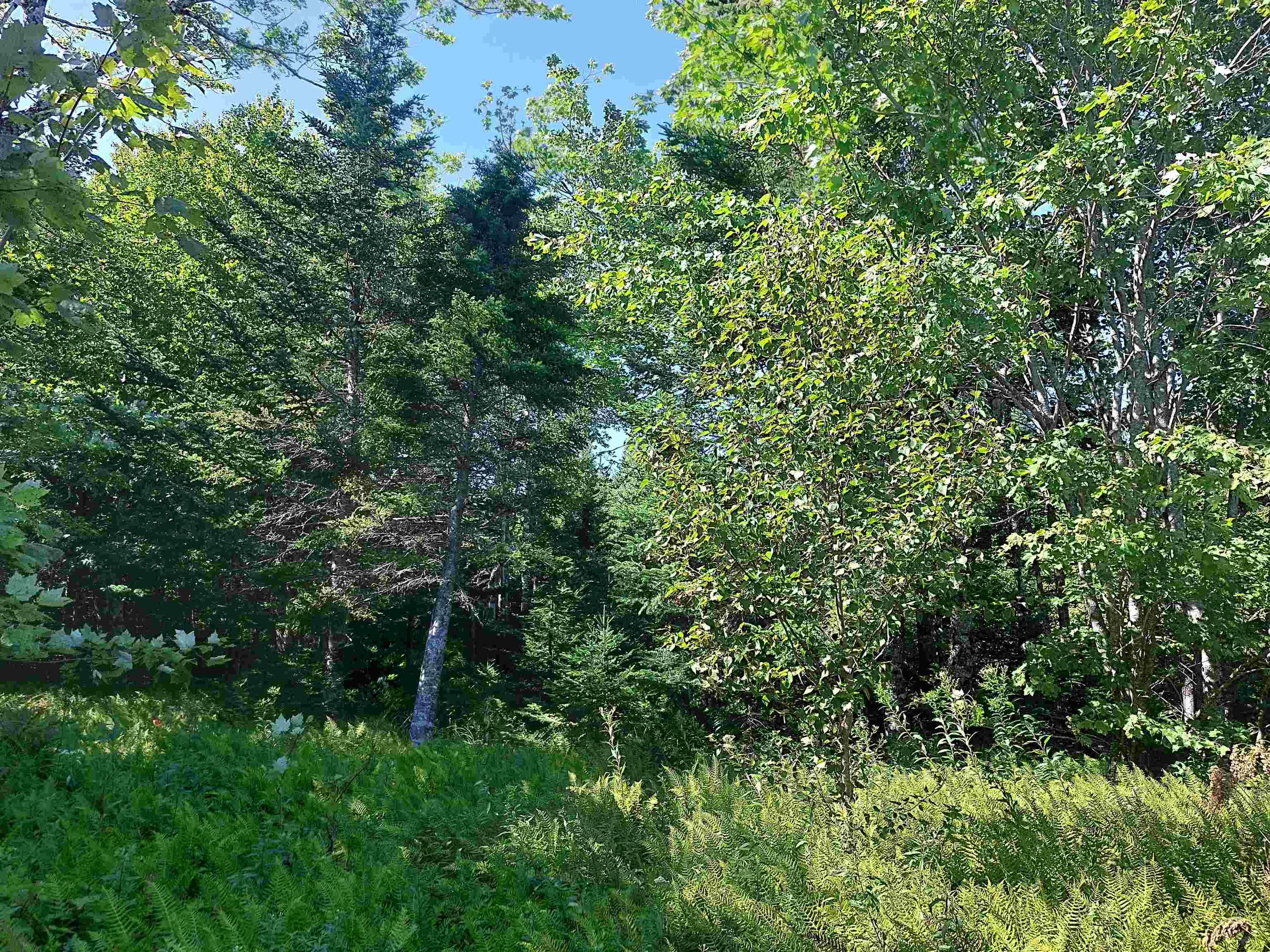 $55,000.00: 45 Joanne Langford Dr, French Road