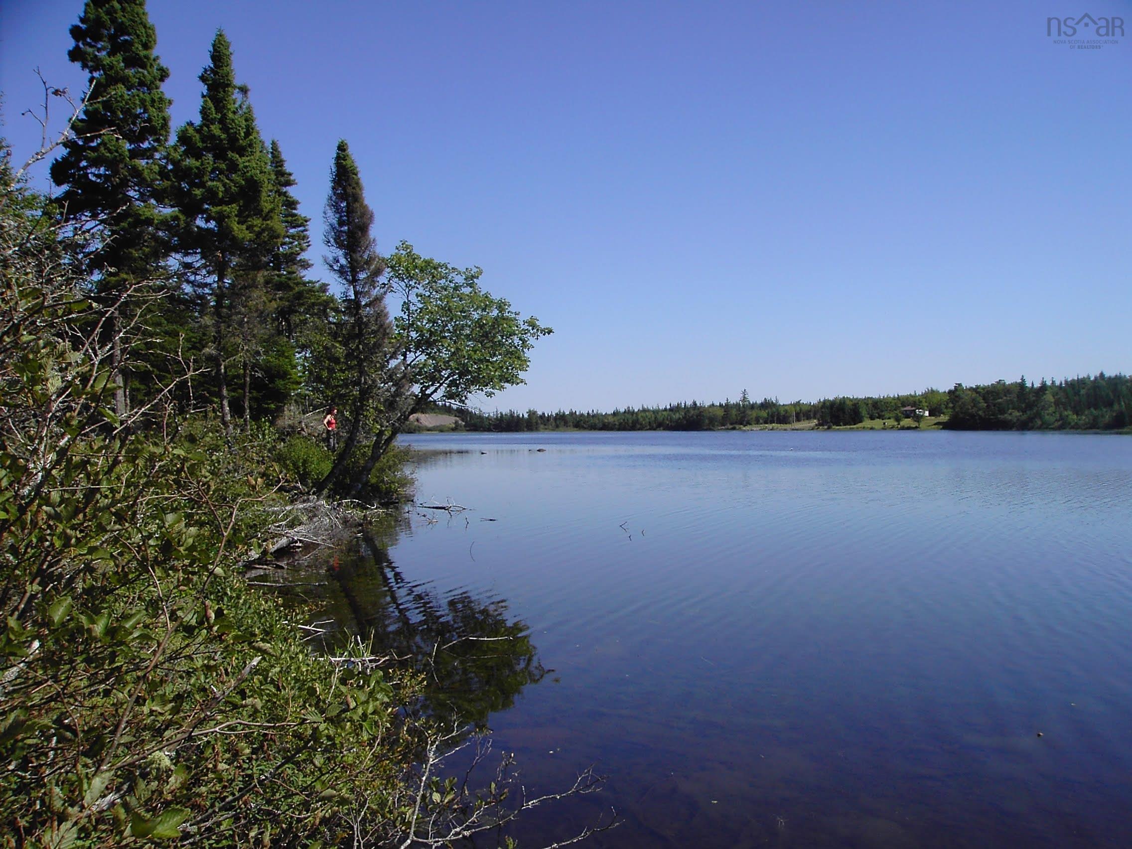 $55,000.00: 45 Joanne Langford Dr, French Road