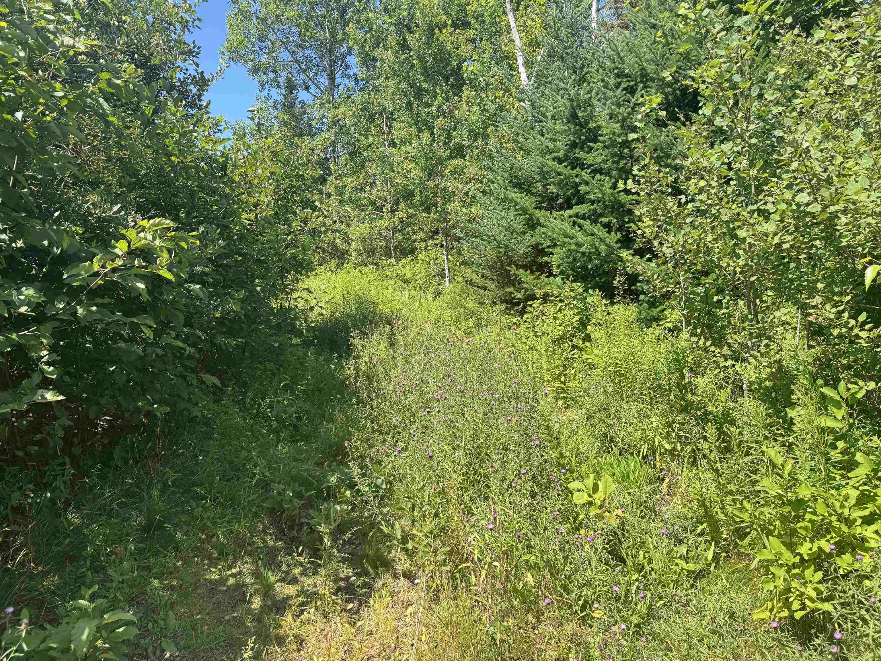 $125,000.00: Lot 1 Aylesford, Aylesford