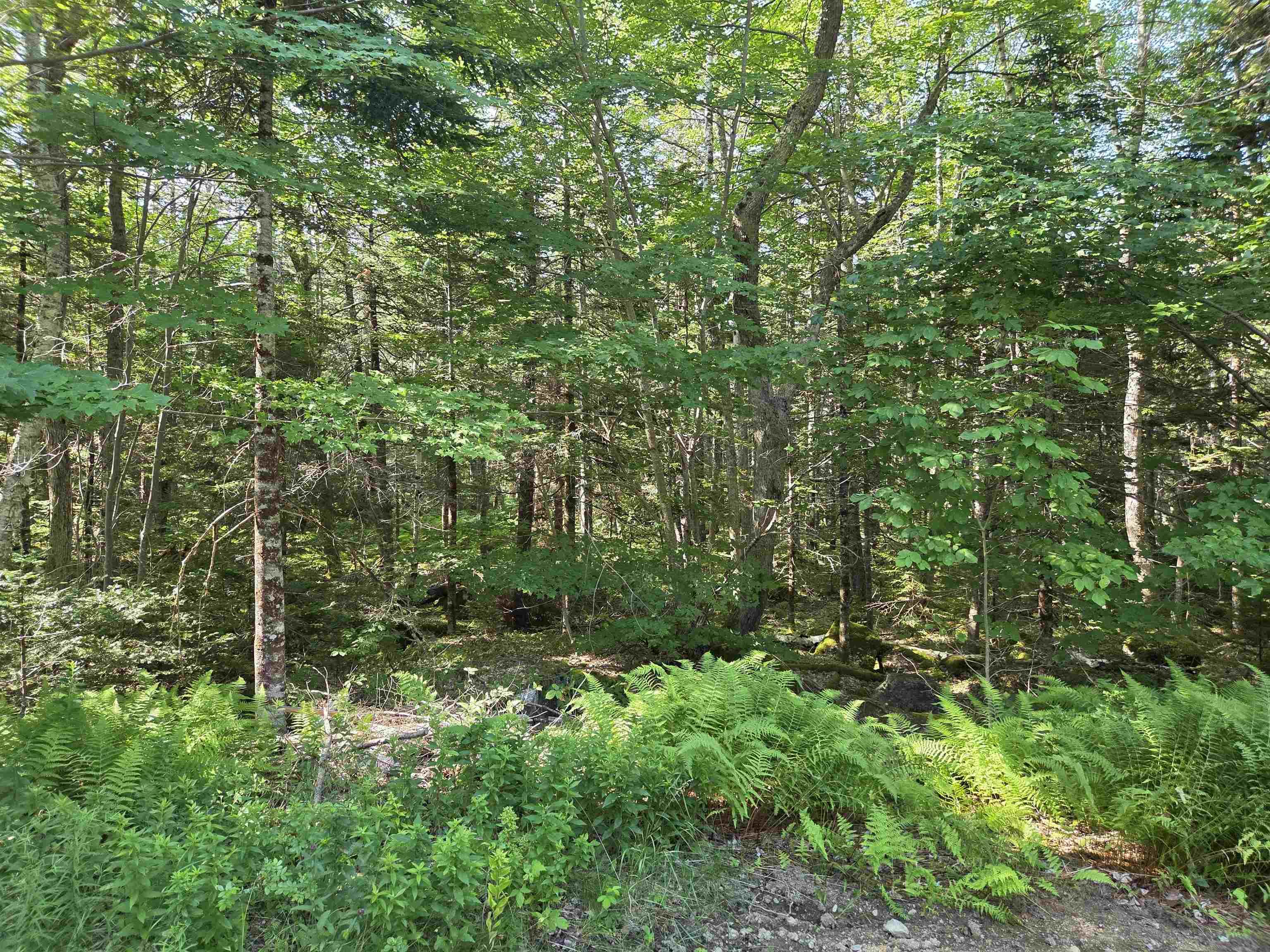 $119,990.00: 48 Lake Mulgrave Road, Victory