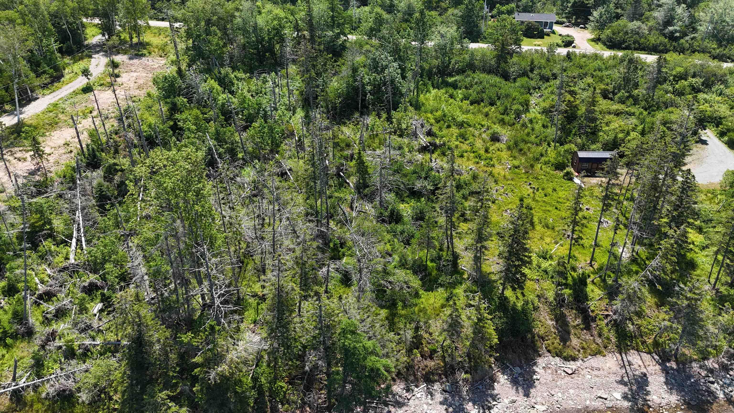 $99,000.00: West Bay Highway, Dundee