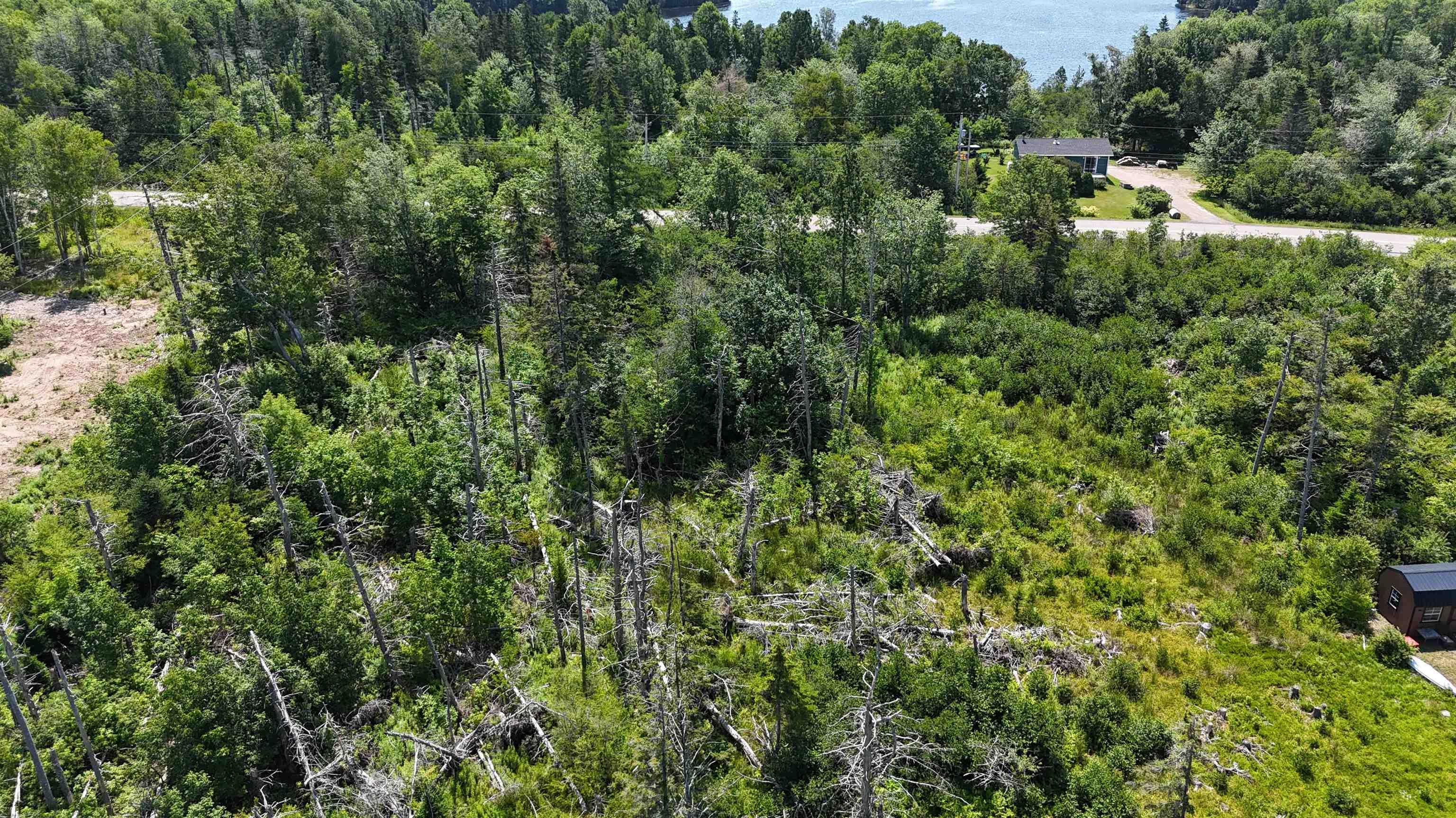 $99,000.00: West Bay Highway, Dundee