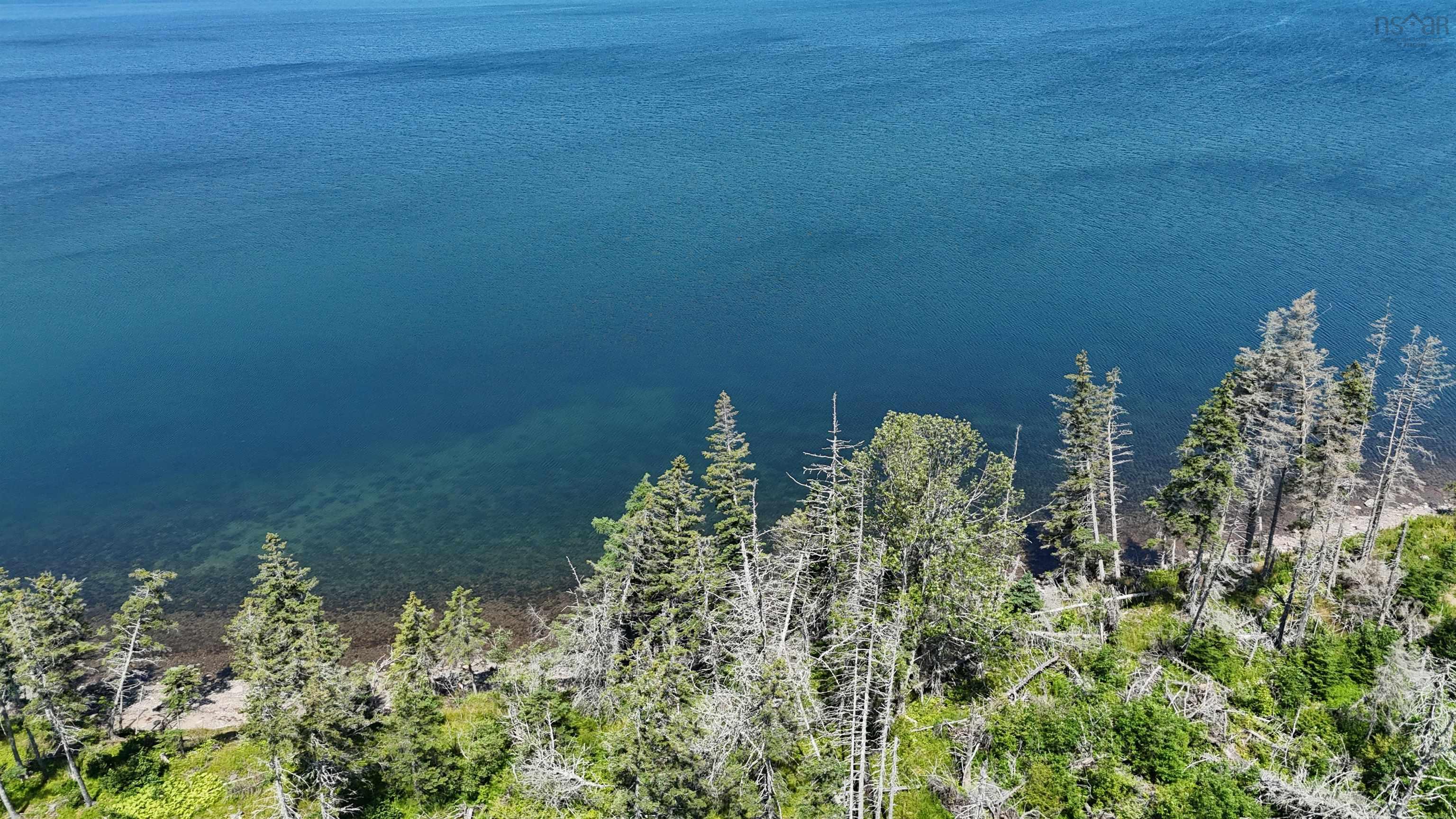 $99,000.00: West Bay Highway, Dundee